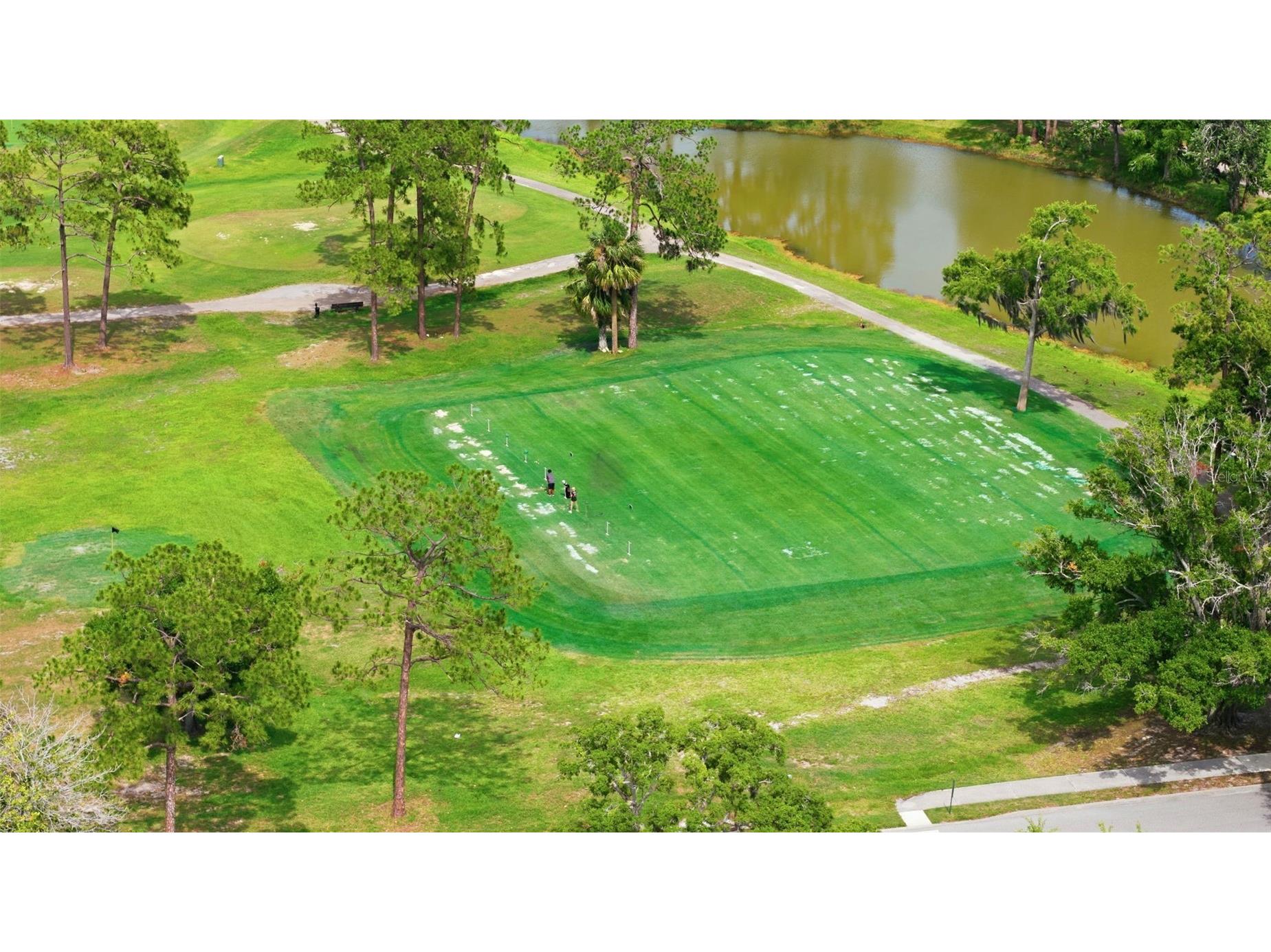 11501 Bloomington Court New Port Richey FL 34654 TB8518586 image47