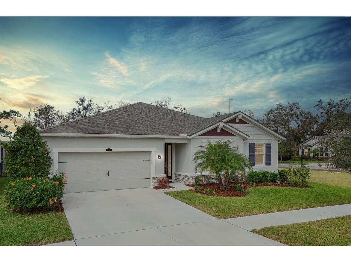 11501 Cedar Valley Drive Riverview FL 33569 TB8350001 image1