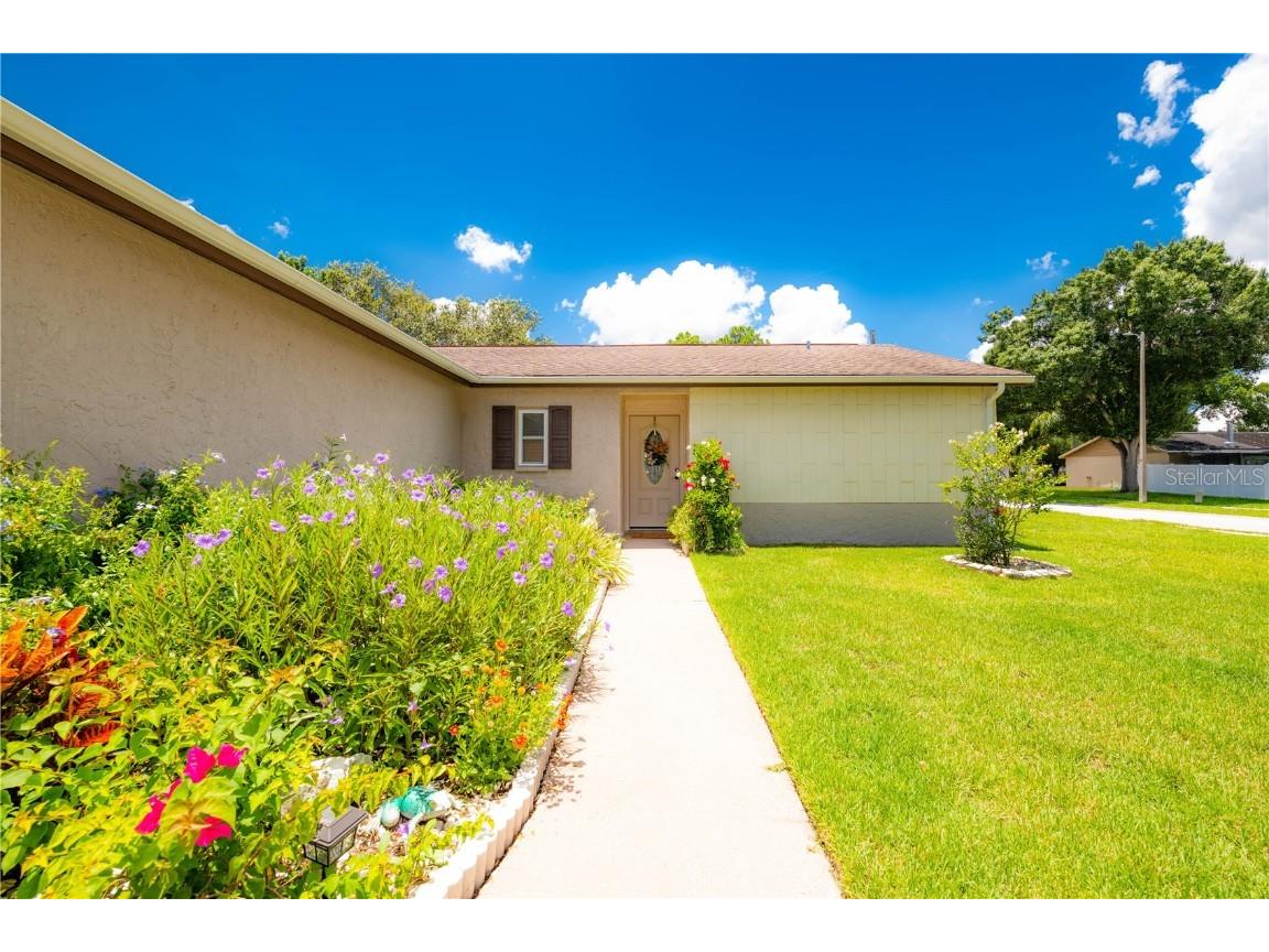 11501 Smokethorn Drive Riverview FL 33579 T3439414 image1