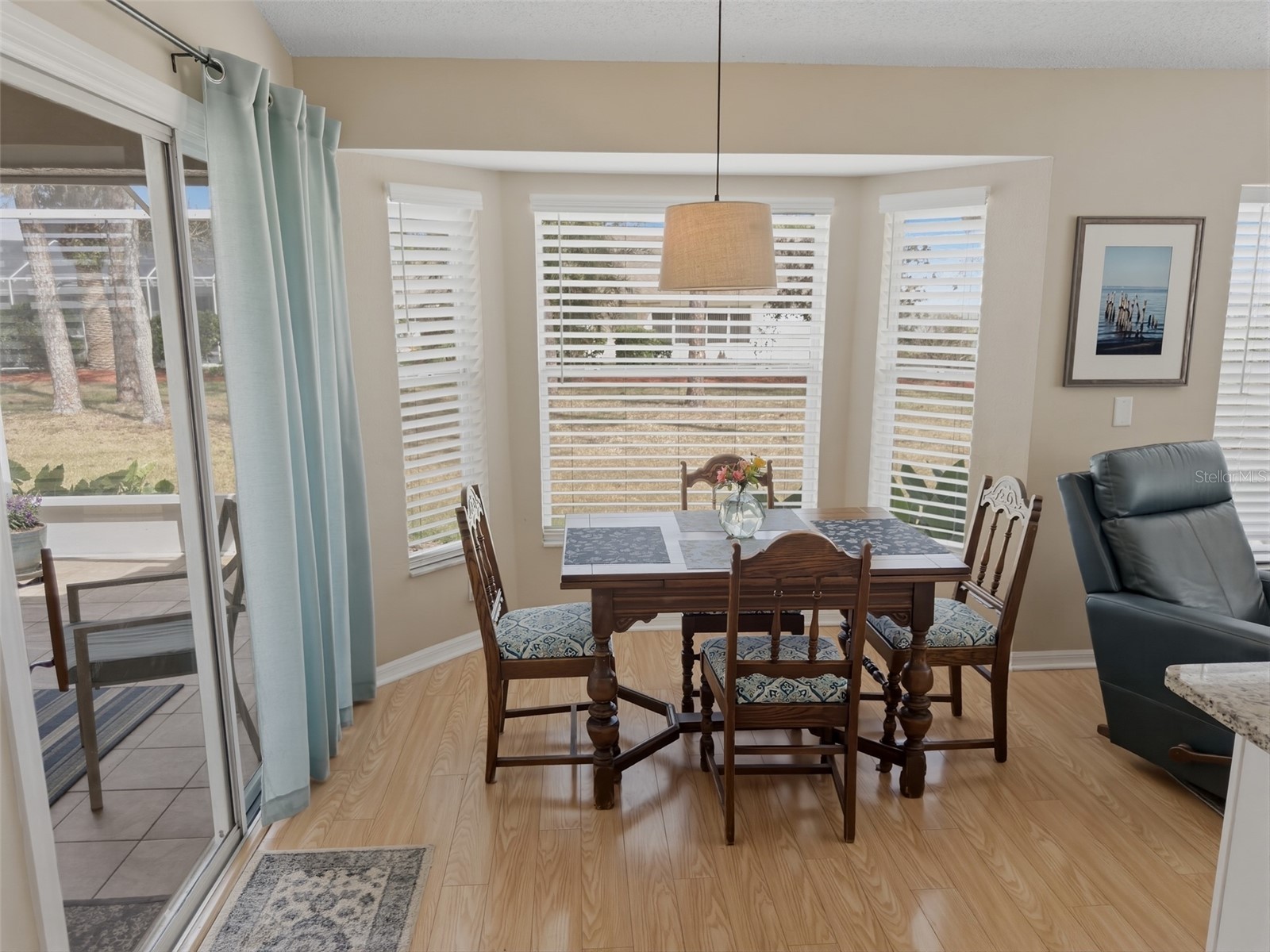 11503 Baronwood Court Hudson FL 34667 W7884606 image23