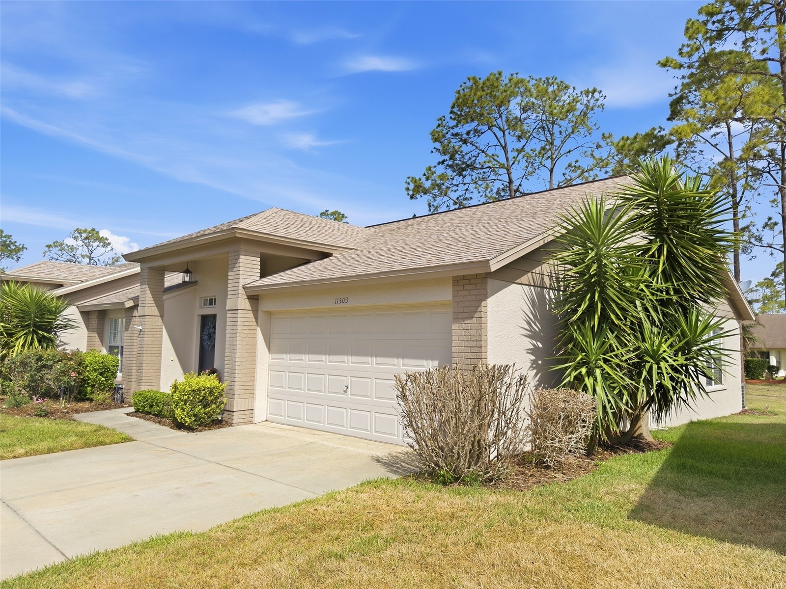 11503 Baronwood Court Hudson FL 34667 W7884606 image4