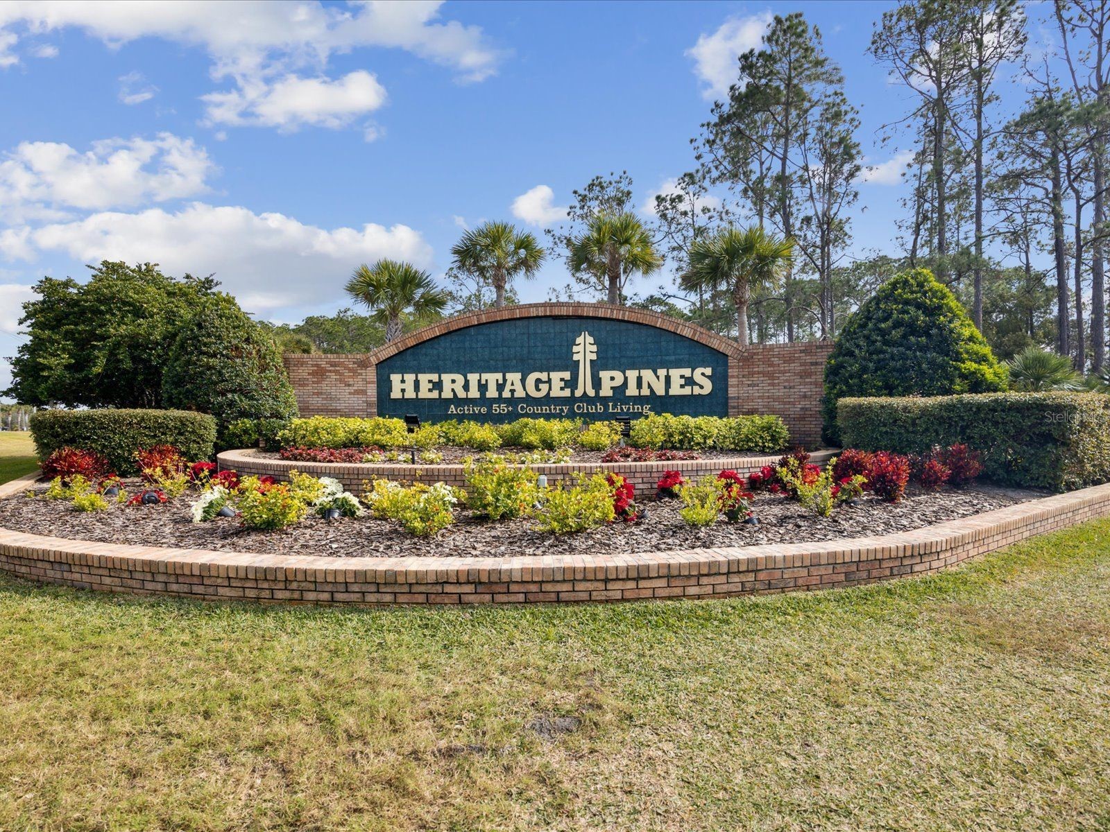 11503 Baronwood Court Hudson FL 34667 W7884606 image46