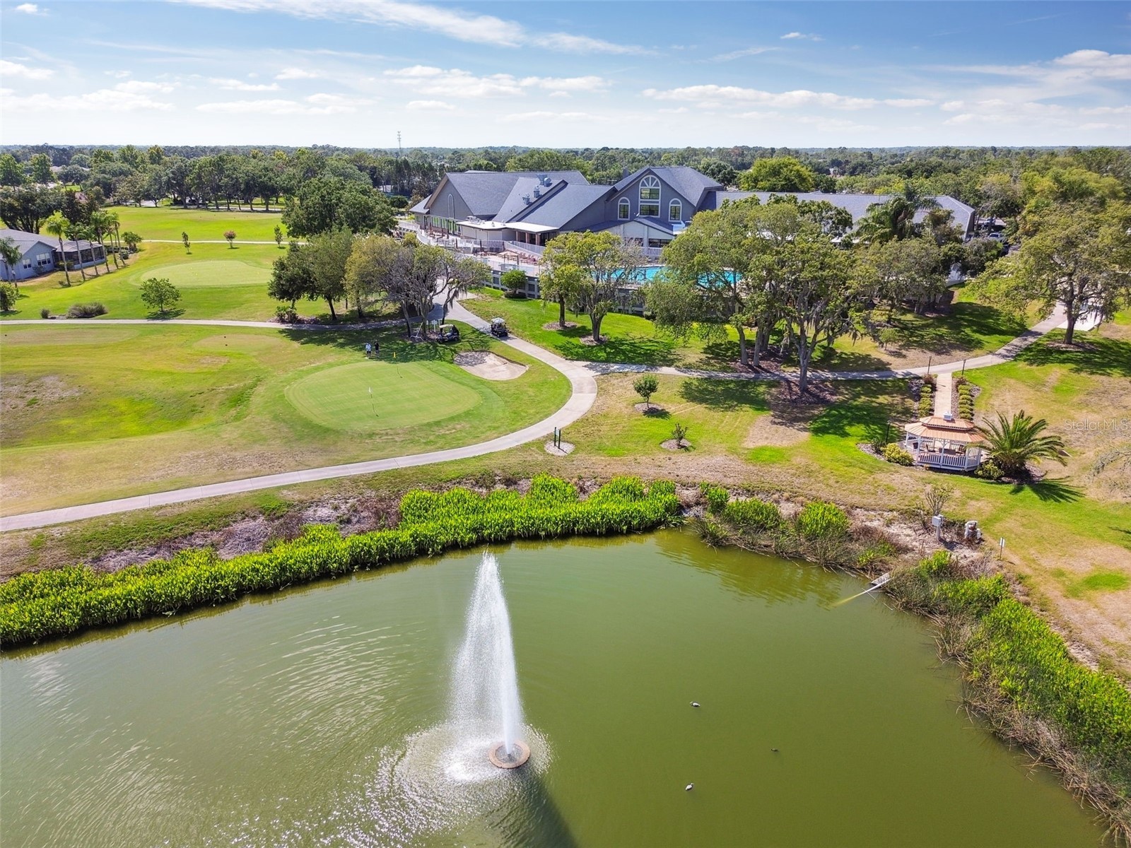 11503 Baronwood Court Hudson FL 34667 W7884606 image61