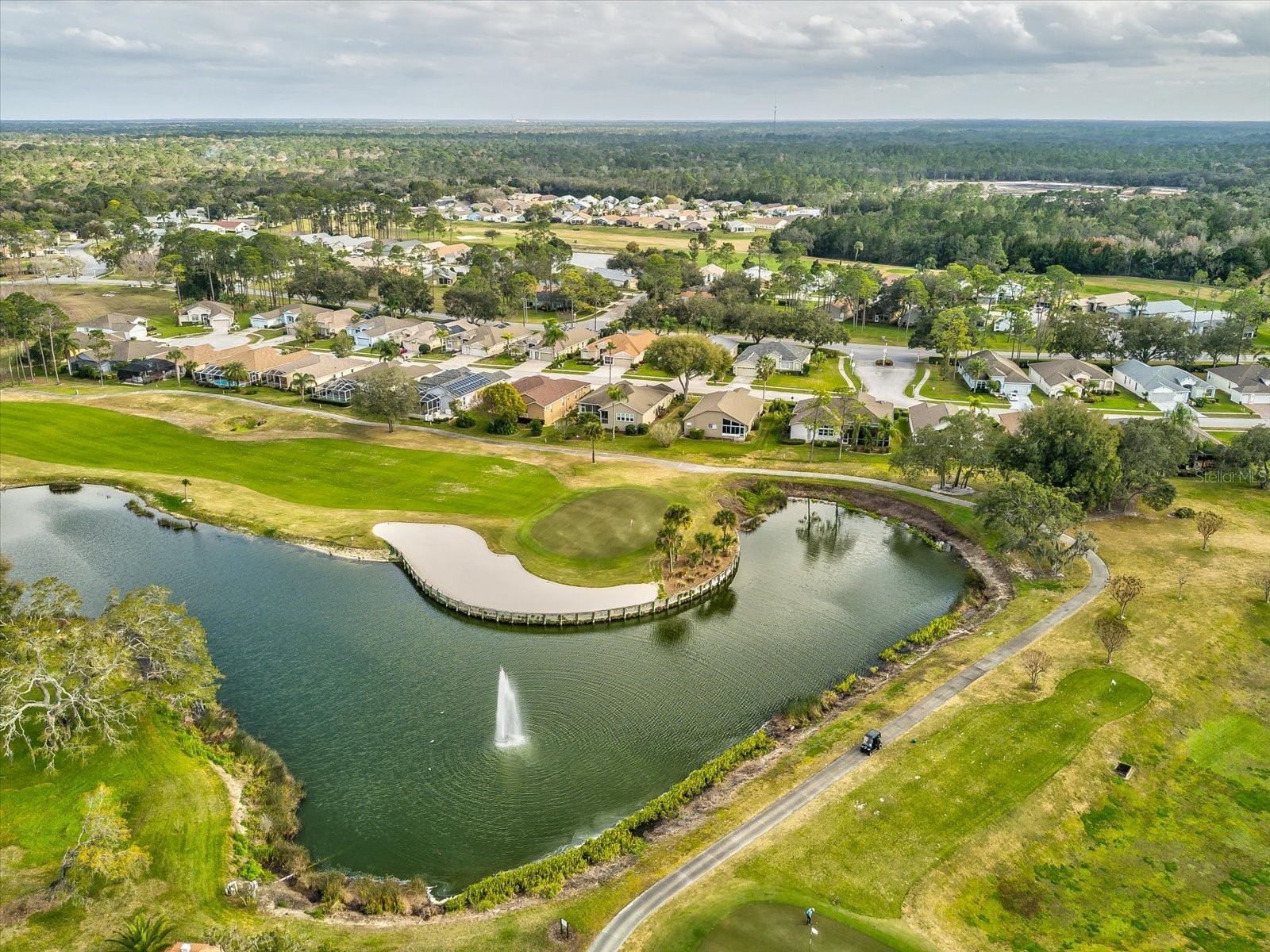 11503 Baronwood Court Hudson FL 34667 W7884606 image62