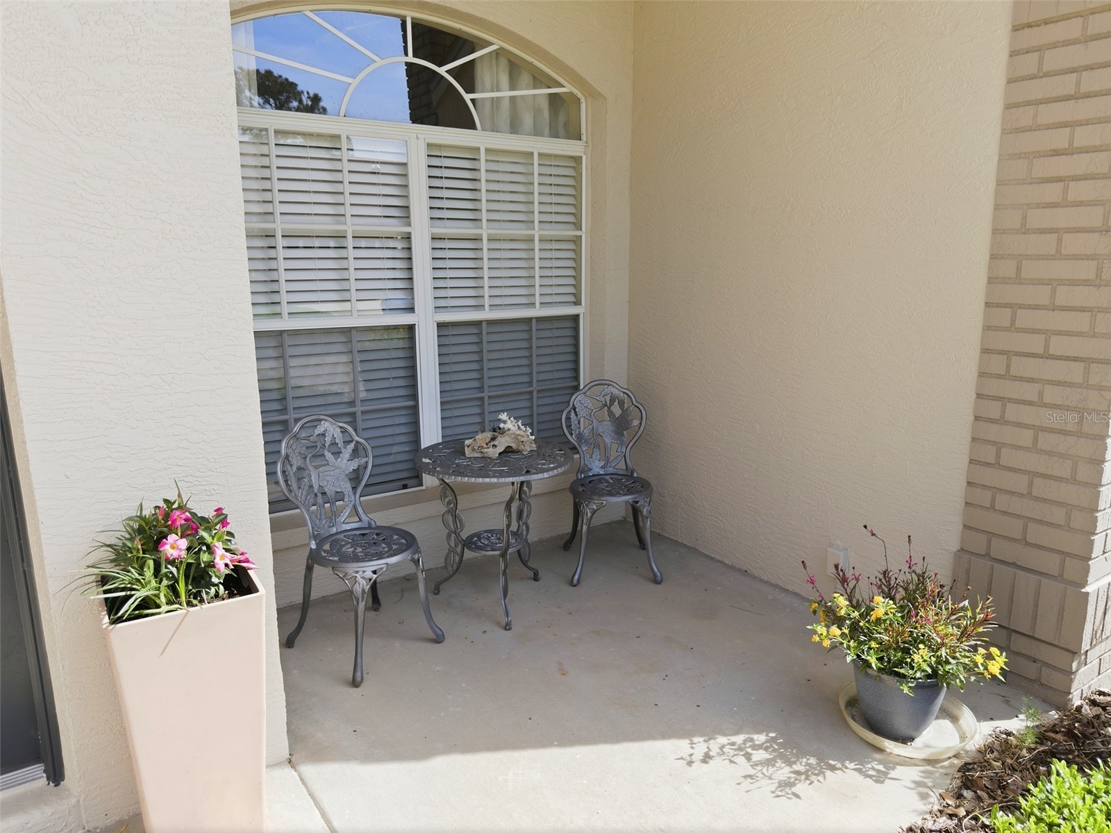 11503 Baronwood Court Hudson FL 34667 W7884606 image7