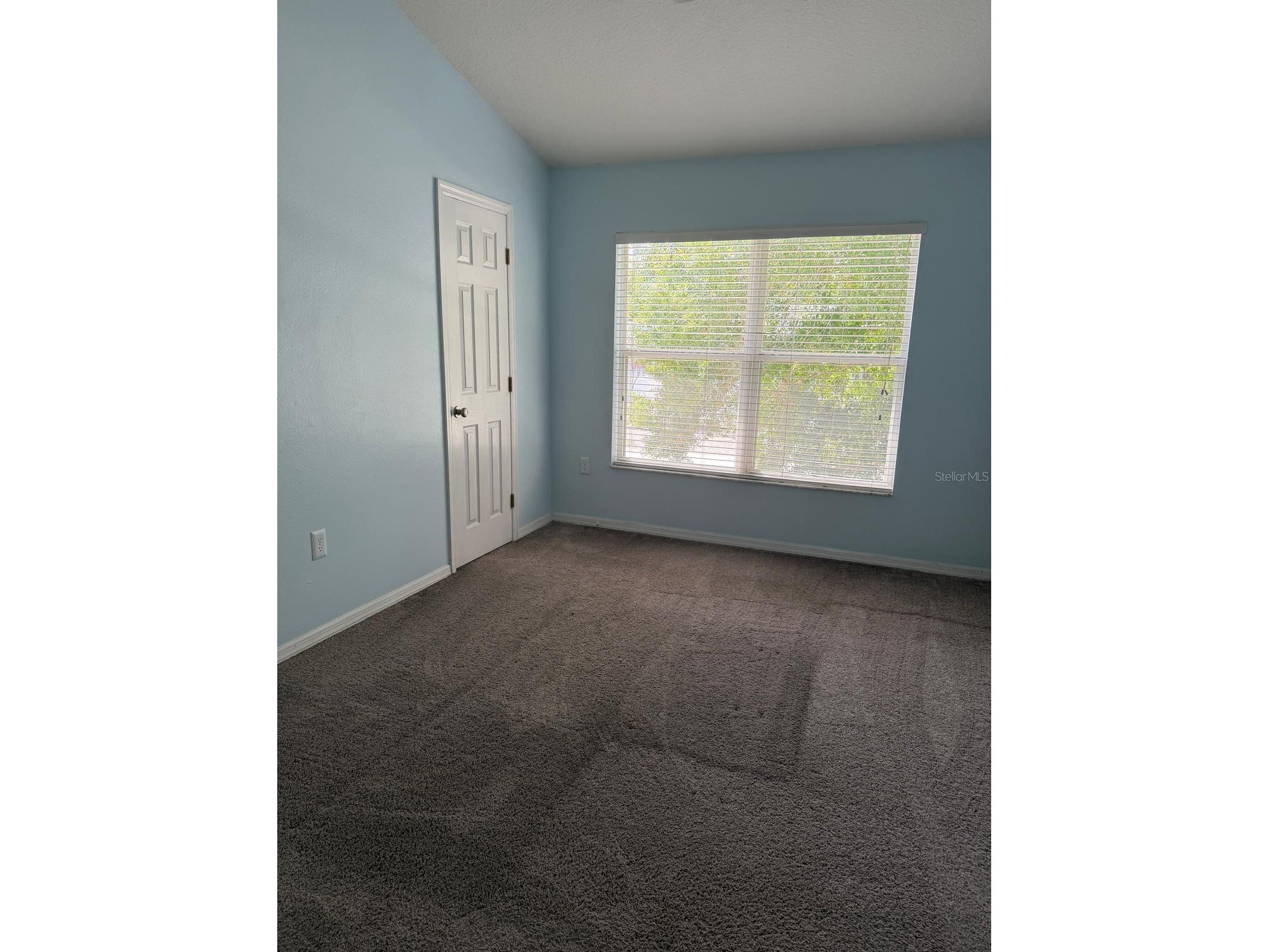 11503 Declaration Drive Tampa FL 33635 TB8528579 image16