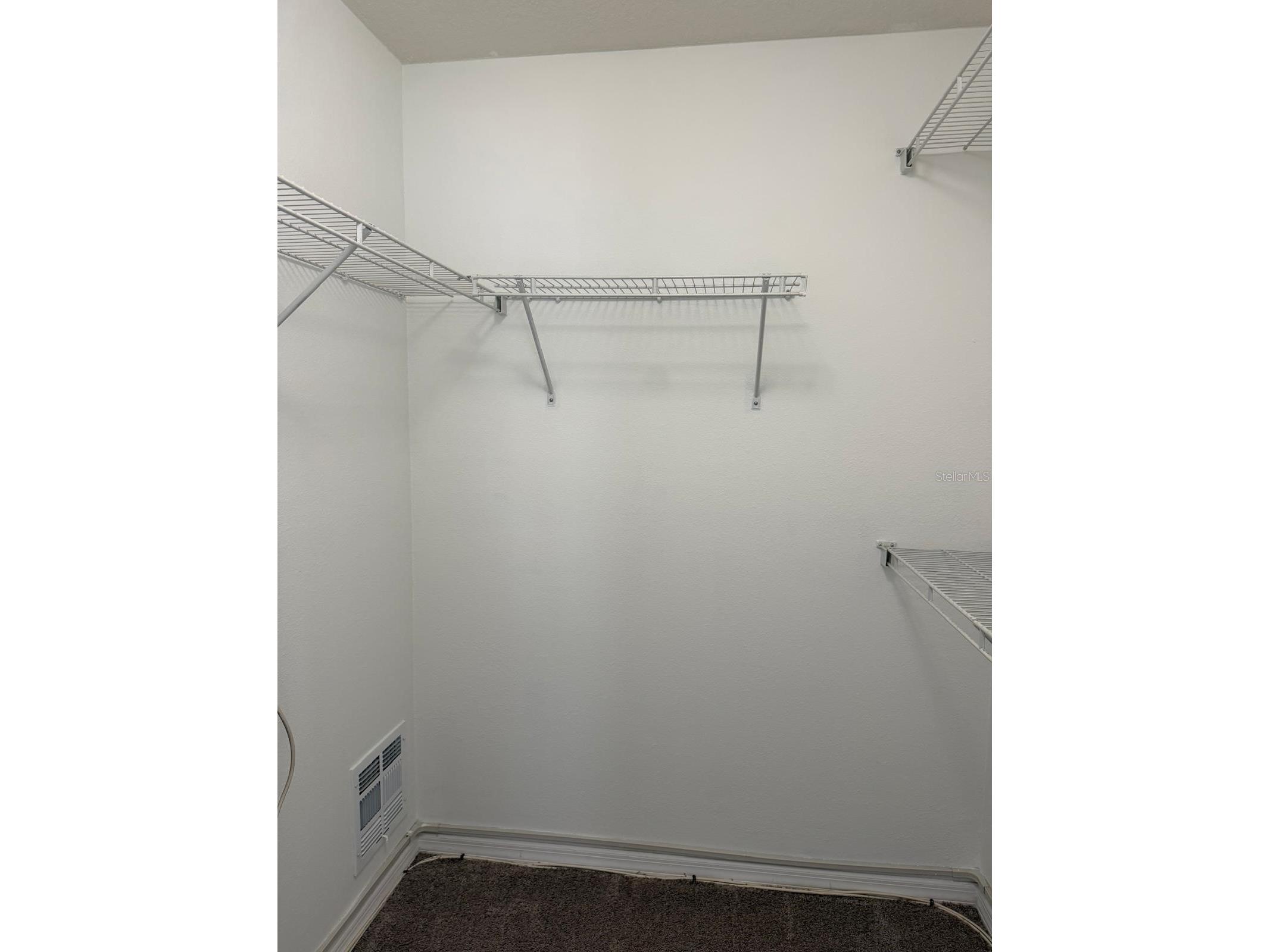 11503 Declaration Drive Tampa FL 33635 TB8528579 image17