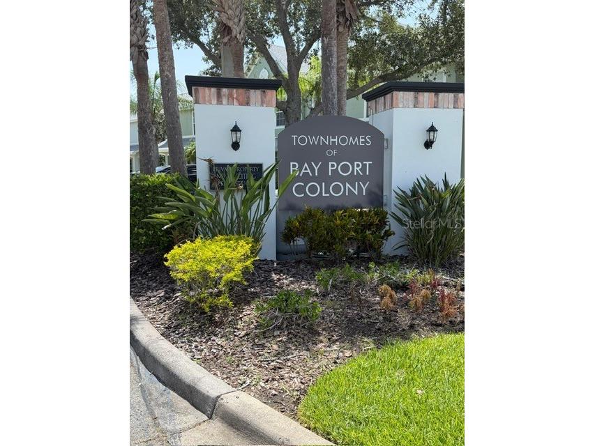11503 Declaration Drive Tampa FL 33635 TB8528579 image21