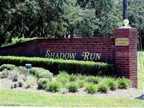 11503 Donneymor Drive Riverview FL 33569 R4908785 image1