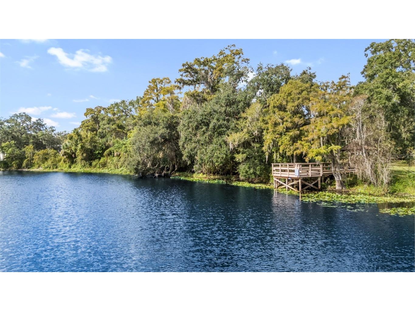 11503 Orilla Del Rio Place Temple Terrace FL 33617 TB8435405 image30