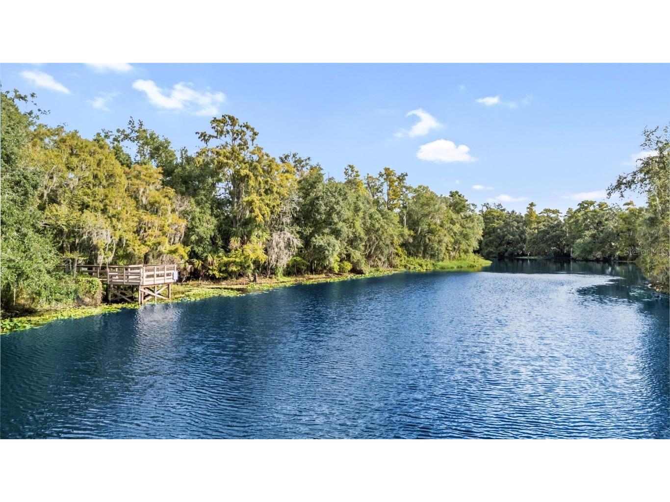 11503 Orilla Del Rio Place Temple Terrace FL 33617 TB8435405 image31