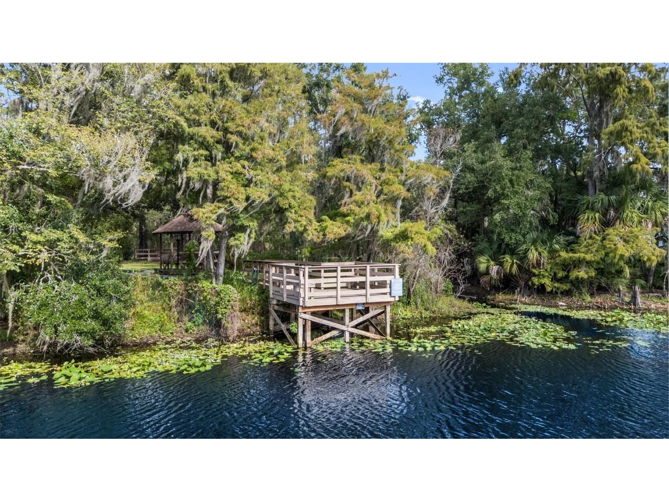 11503 Orilla Del Rio Place Temple Terrace FL 33617 TB8435405 image32