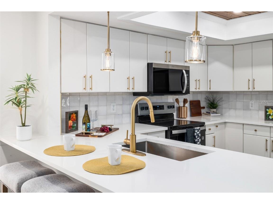 11503 Orilla Del Rio Place Temple Terrace FL 33617 TB8435405 image5