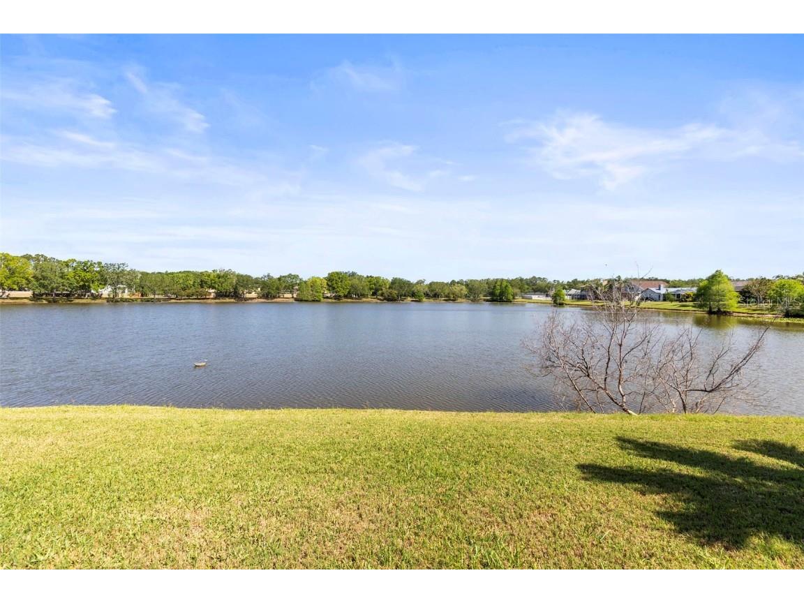 11503 Whispering Hollow Drive Tampa FL 33635 TB8375411 image46