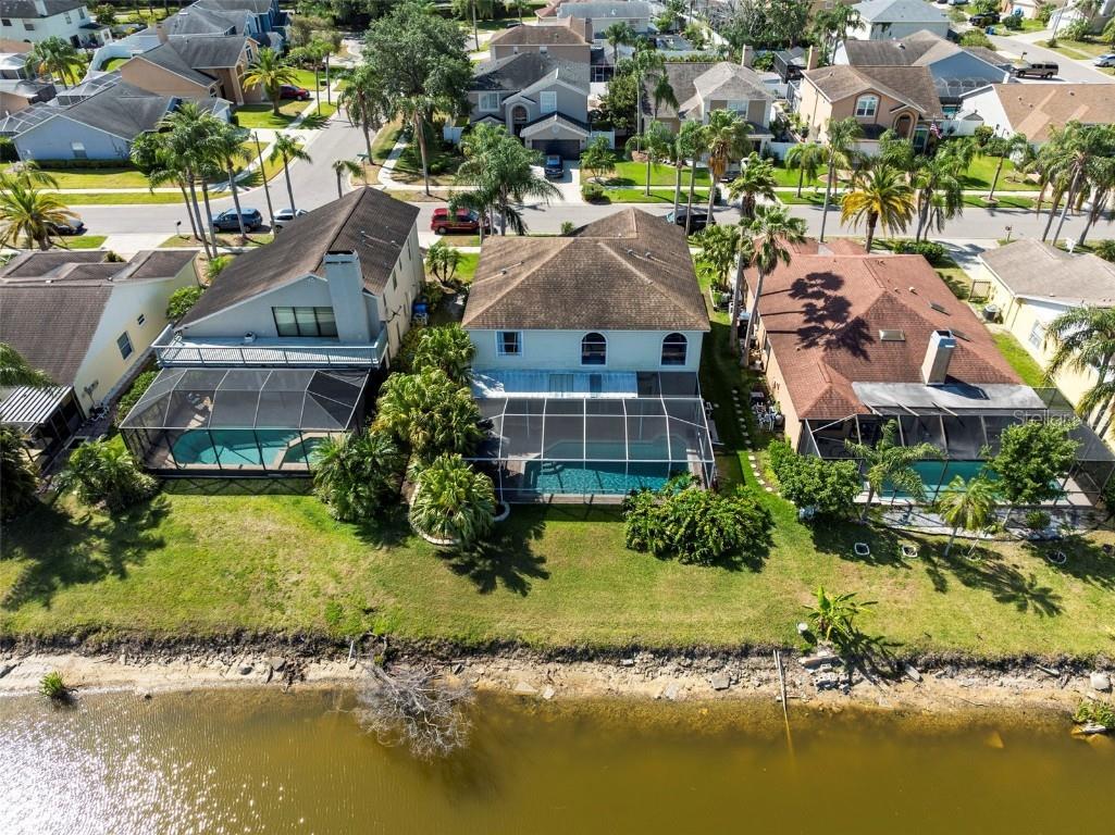 11503 Whispering Hollow Drive Tampa FL 33635 TB8375411 image50