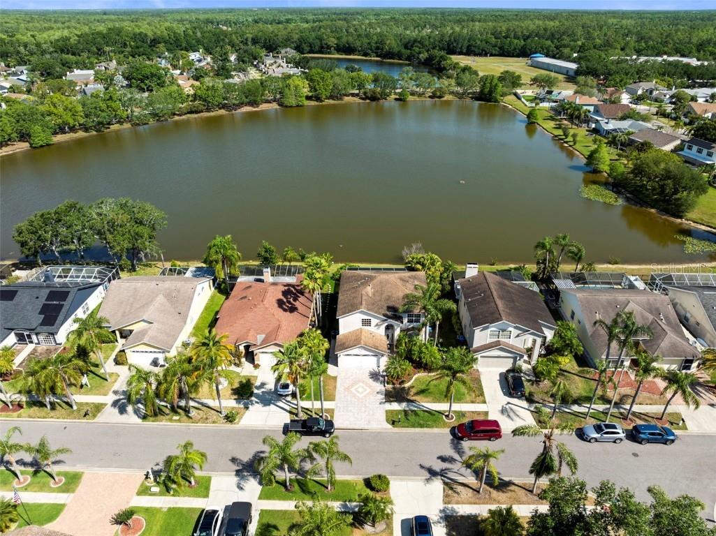 11503 Whispering Hollow Drive Tampa FL 33635 TB8375411 image52