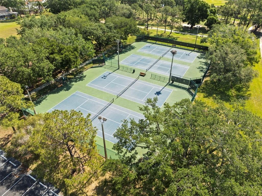 11503 Whispering Hollow Drive Tampa FL 33635 TB8375411 image55