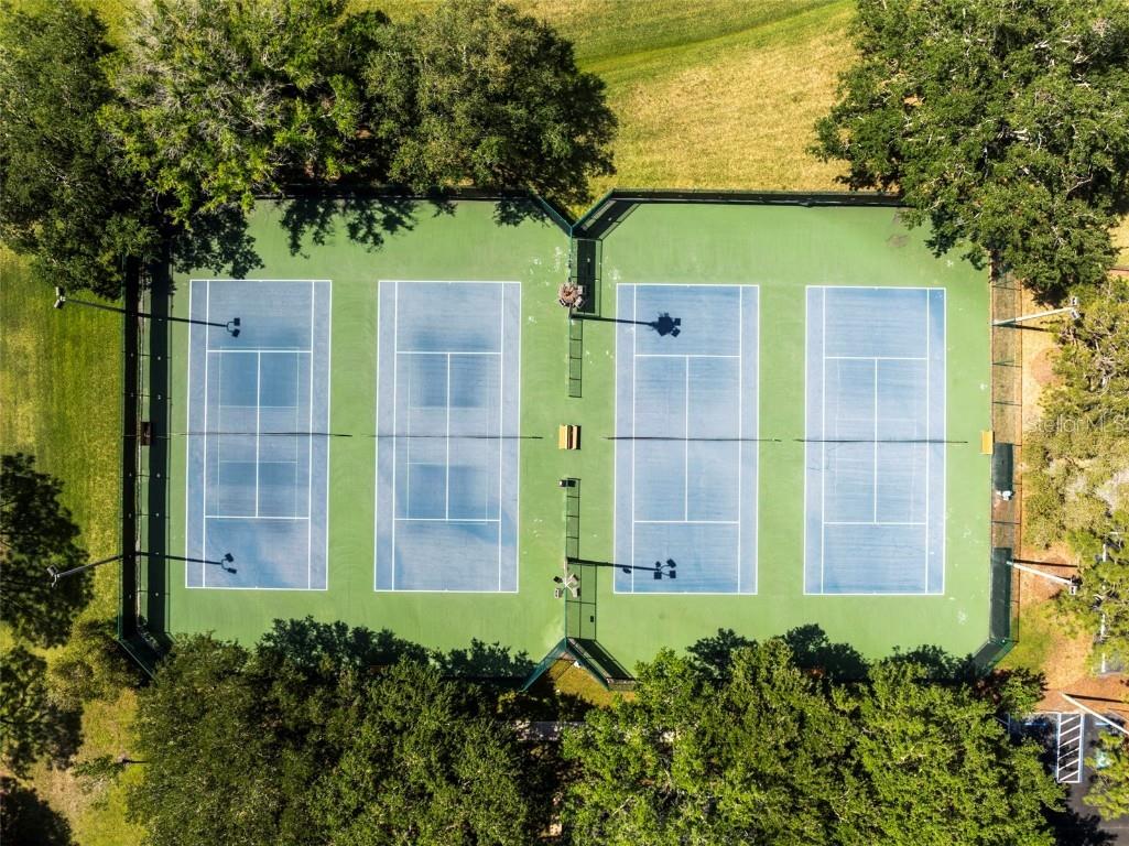 11503 Whispering Hollow Drive Tampa FL 33635 TB8375411 image59