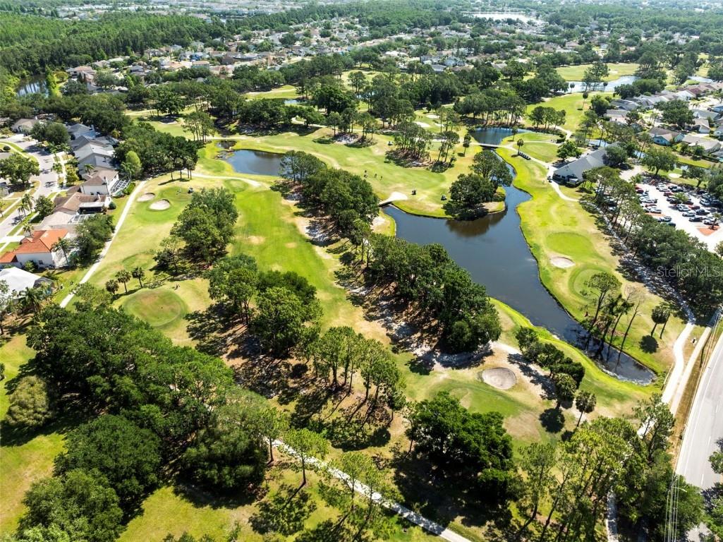 11503 Whispering Hollow Drive Tampa FL 33635 TB8375411 image60