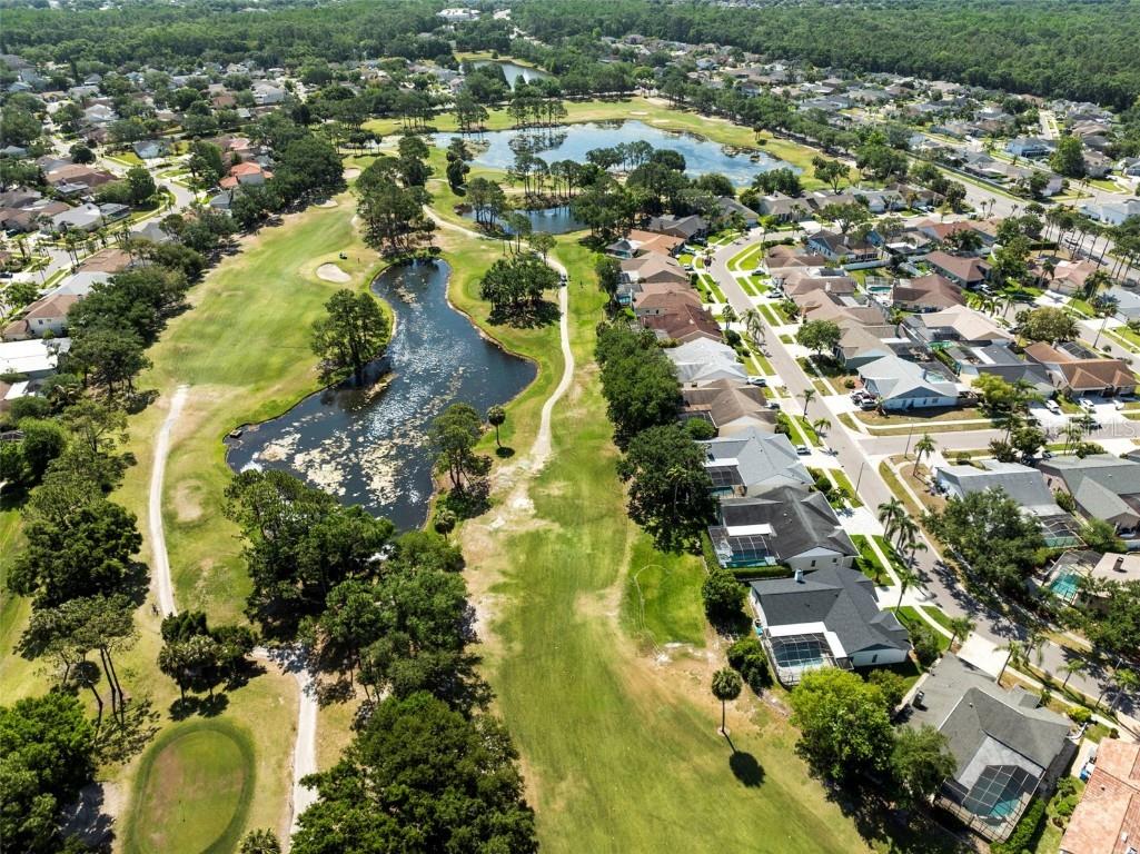 11503 Whispering Hollow Drive Tampa FL 33635 TB8375411 image61