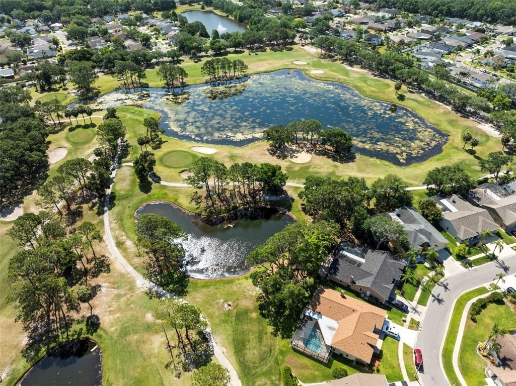 11503 Whispering Hollow Drive Tampa FL 33635 TB8375411 image62