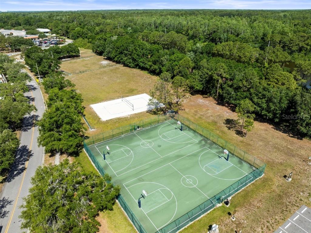 11503 Whispering Hollow Drive Tampa FL 33635 TB8375411 image66