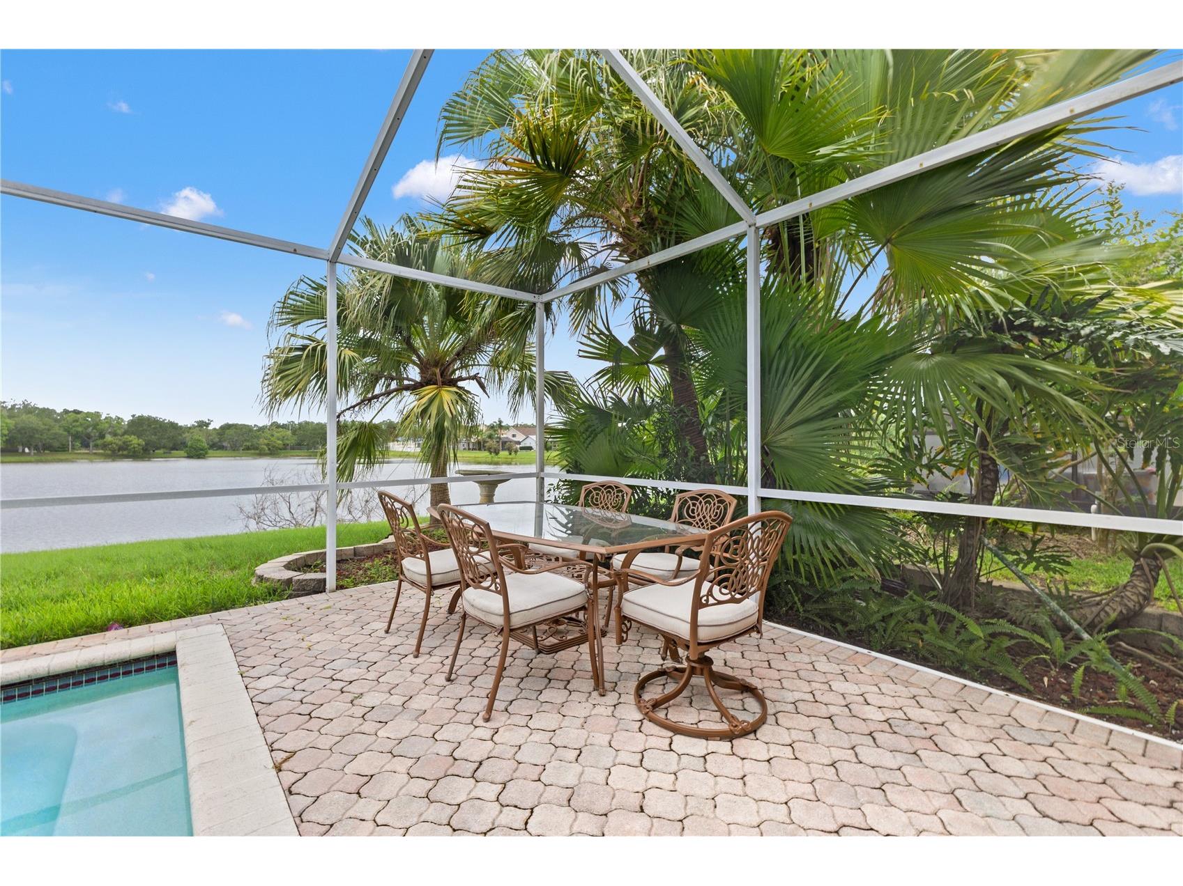 11503 Whispering Hollow Drive Tampa FL 33635 TB8515018 image42