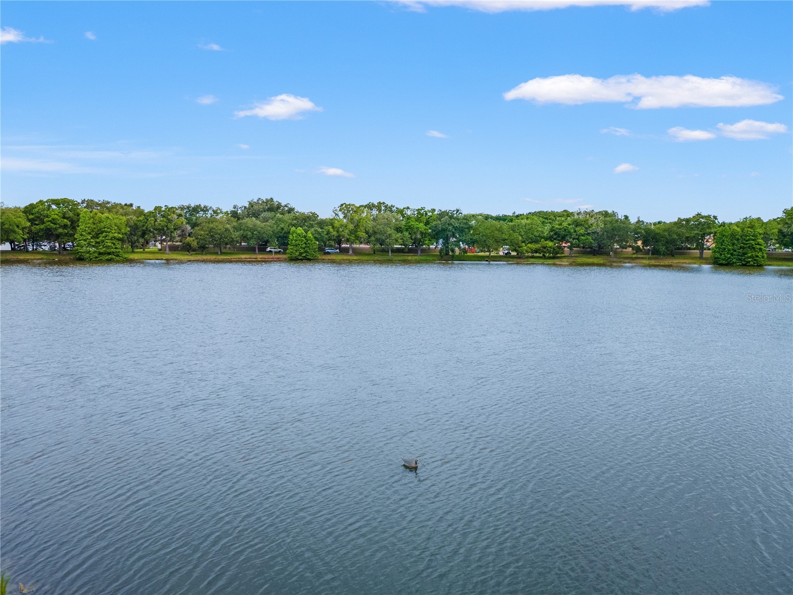11503 Whispering Hollow Drive Tampa FL 33635 TB8515018 image44