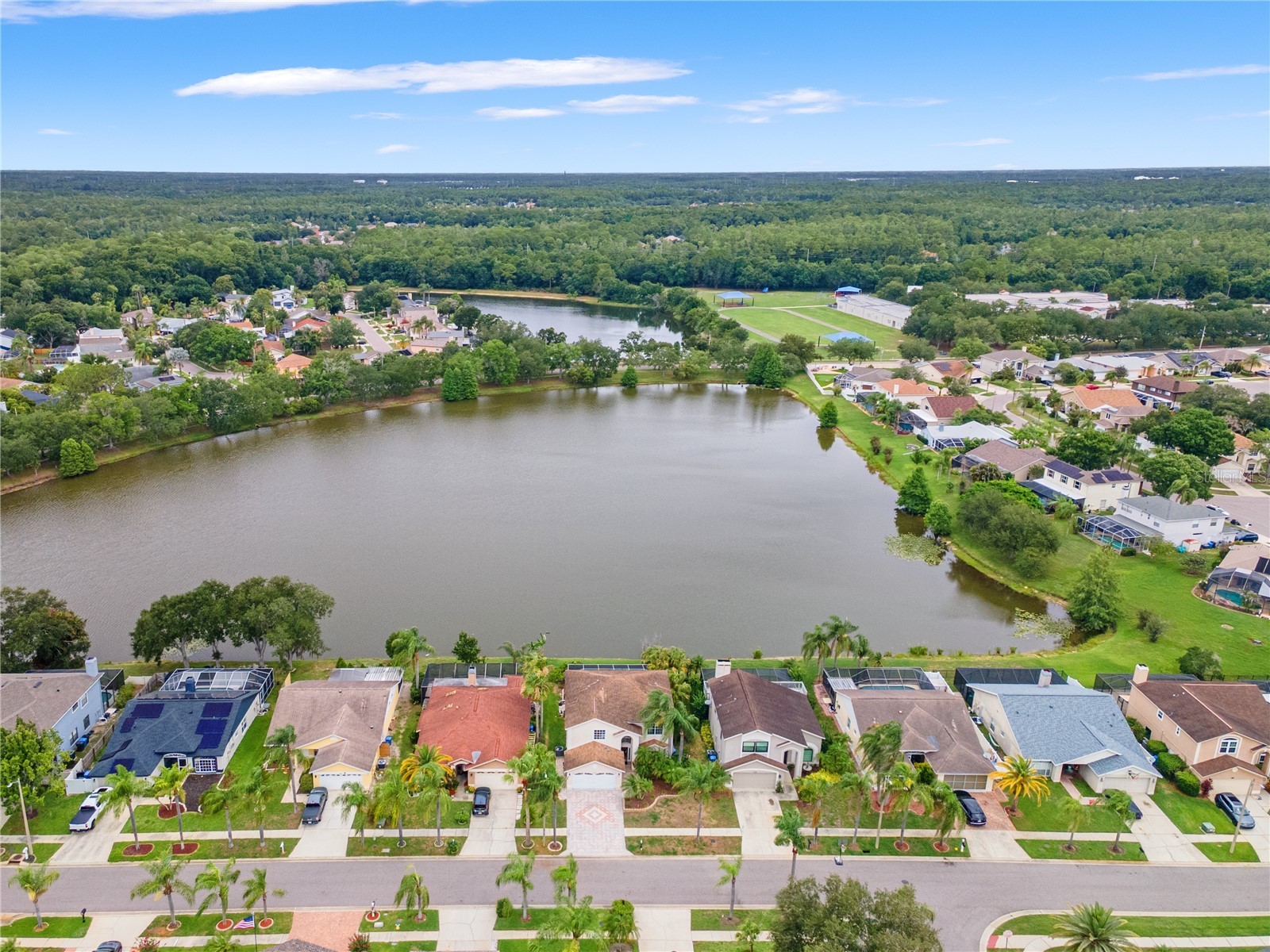 11503 Whispering Hollow Drive Tampa FL 33635 TB8515018 image48