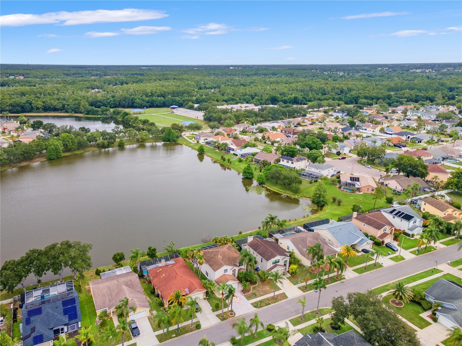 11503 Whispering Hollow Drive Tampa FL 33635 TB8515018 image49