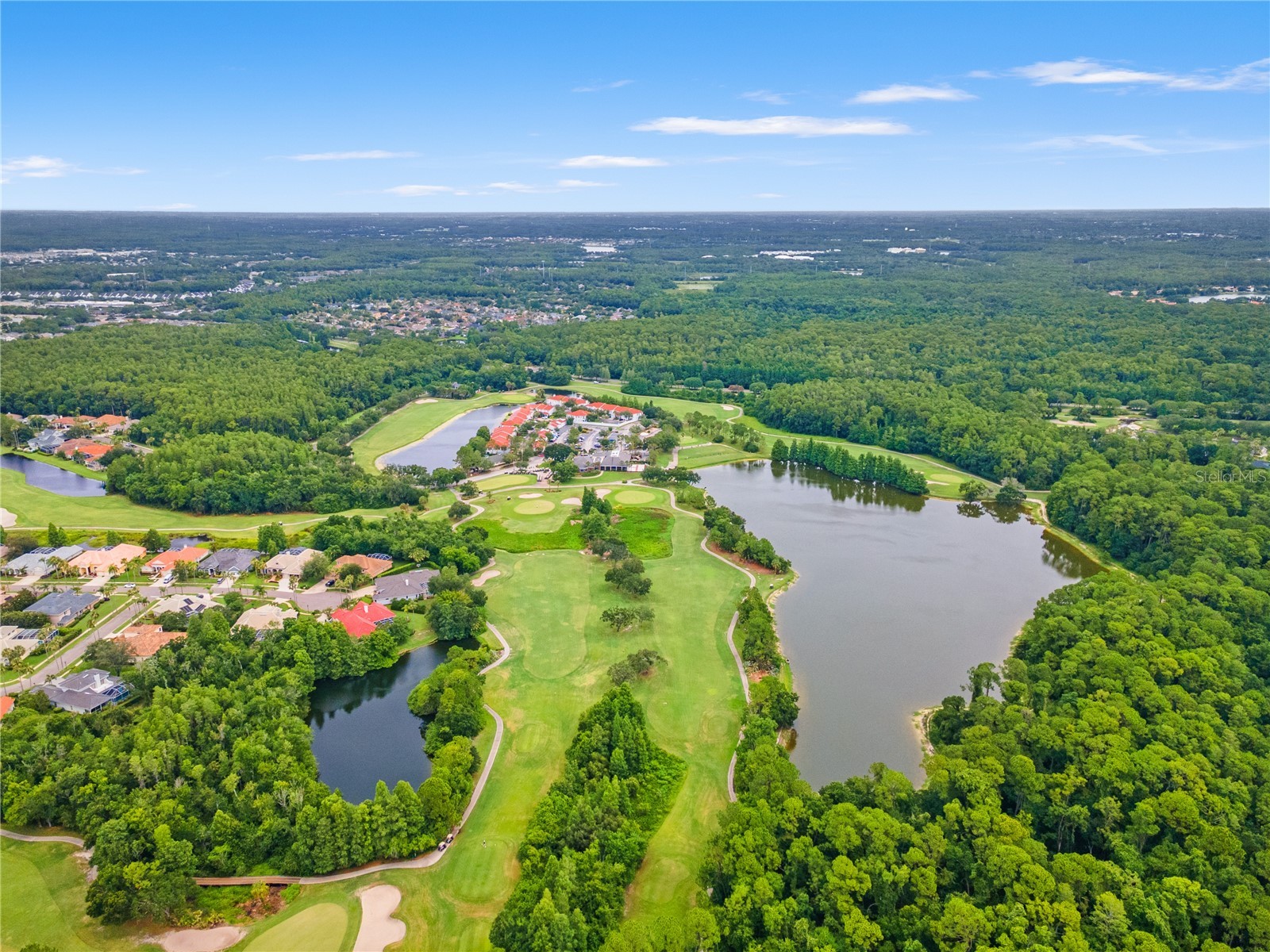11503 Whispering Hollow Drive Tampa FL 33635 TB8515018 image50
