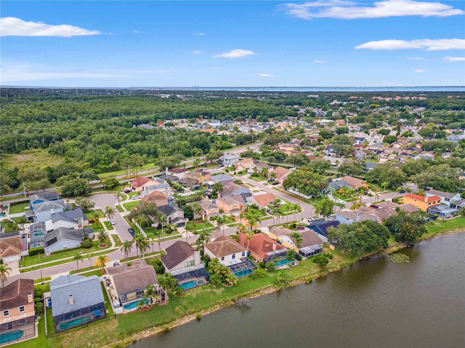 11503 Whispering Hollow Drive Tampa FL 33635 TB8515018 image54