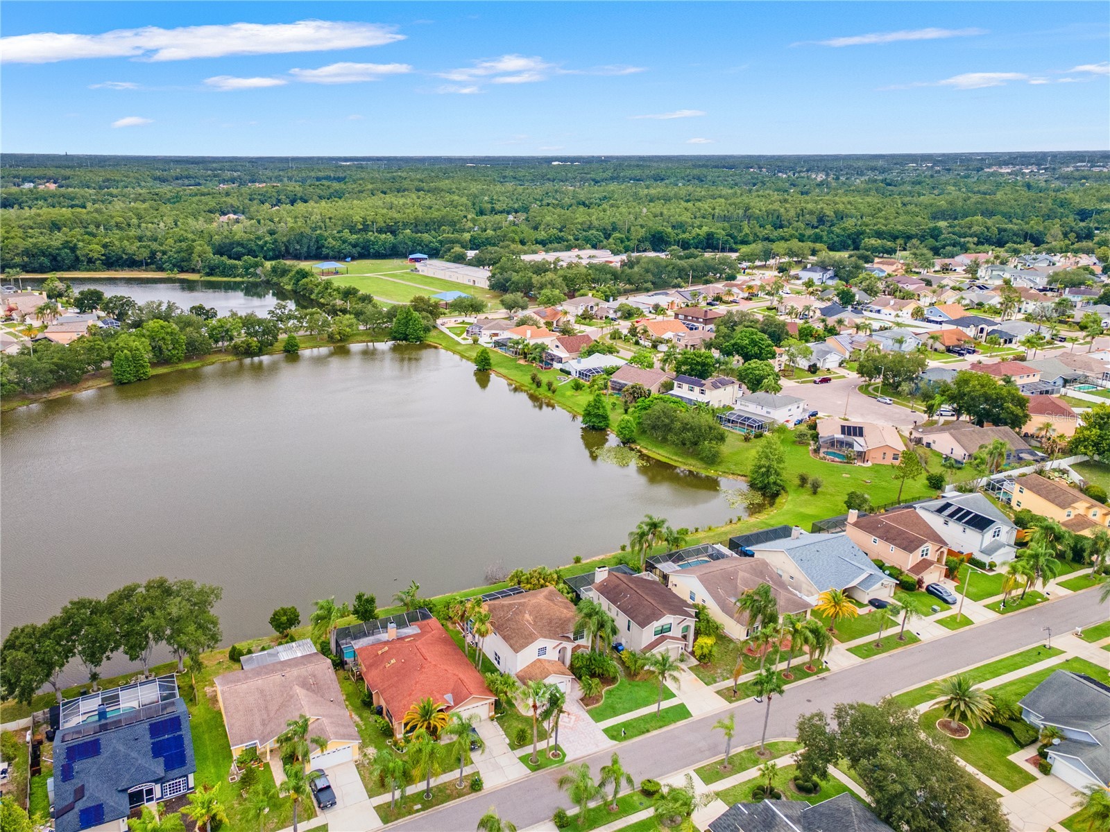 11503 Whispering Hollow Drive Tampa FL 33635 TB8515018 image64