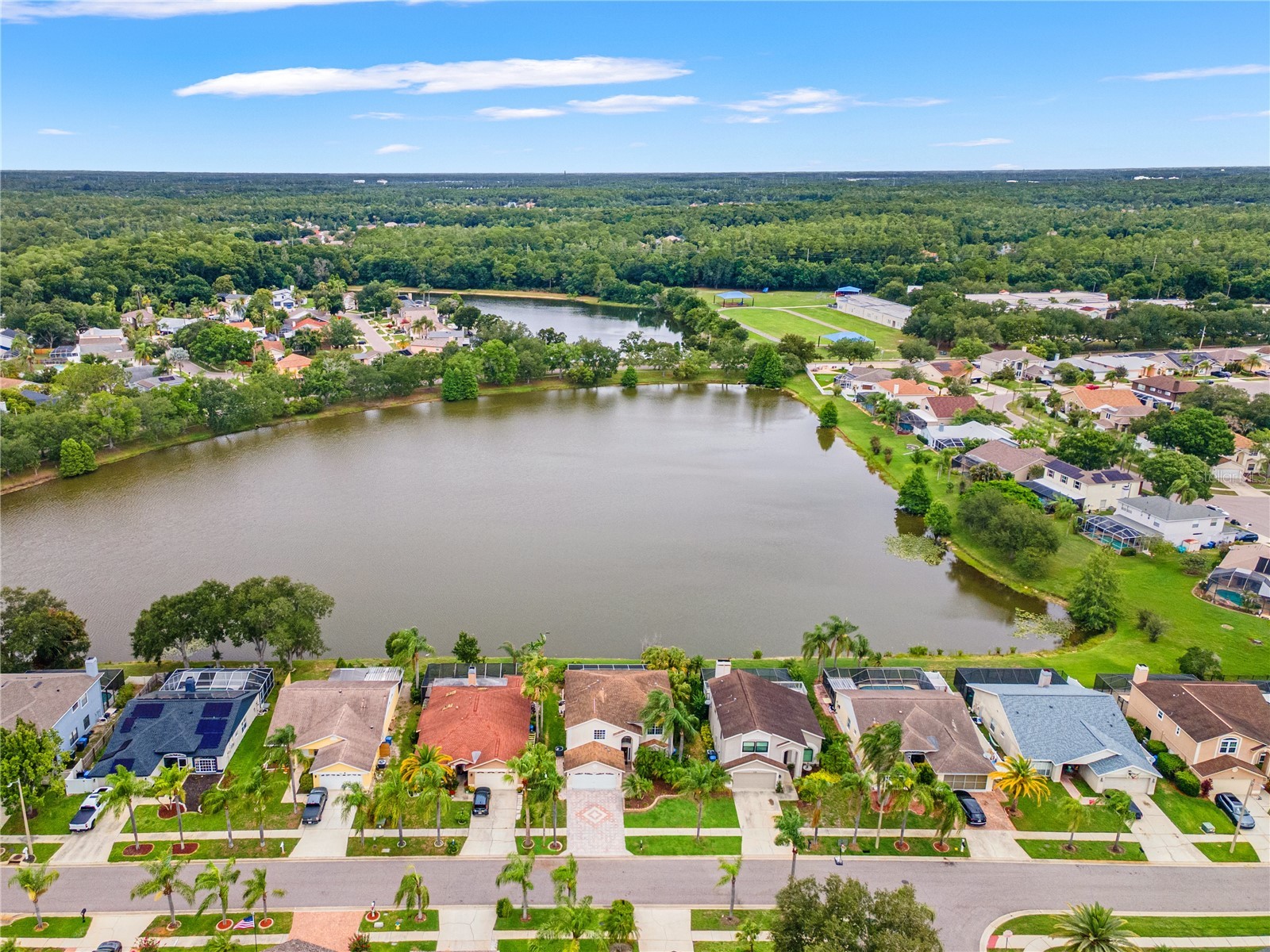 11503 Whispering Hollow Drive Tampa FL 33635 TB8515018 image74