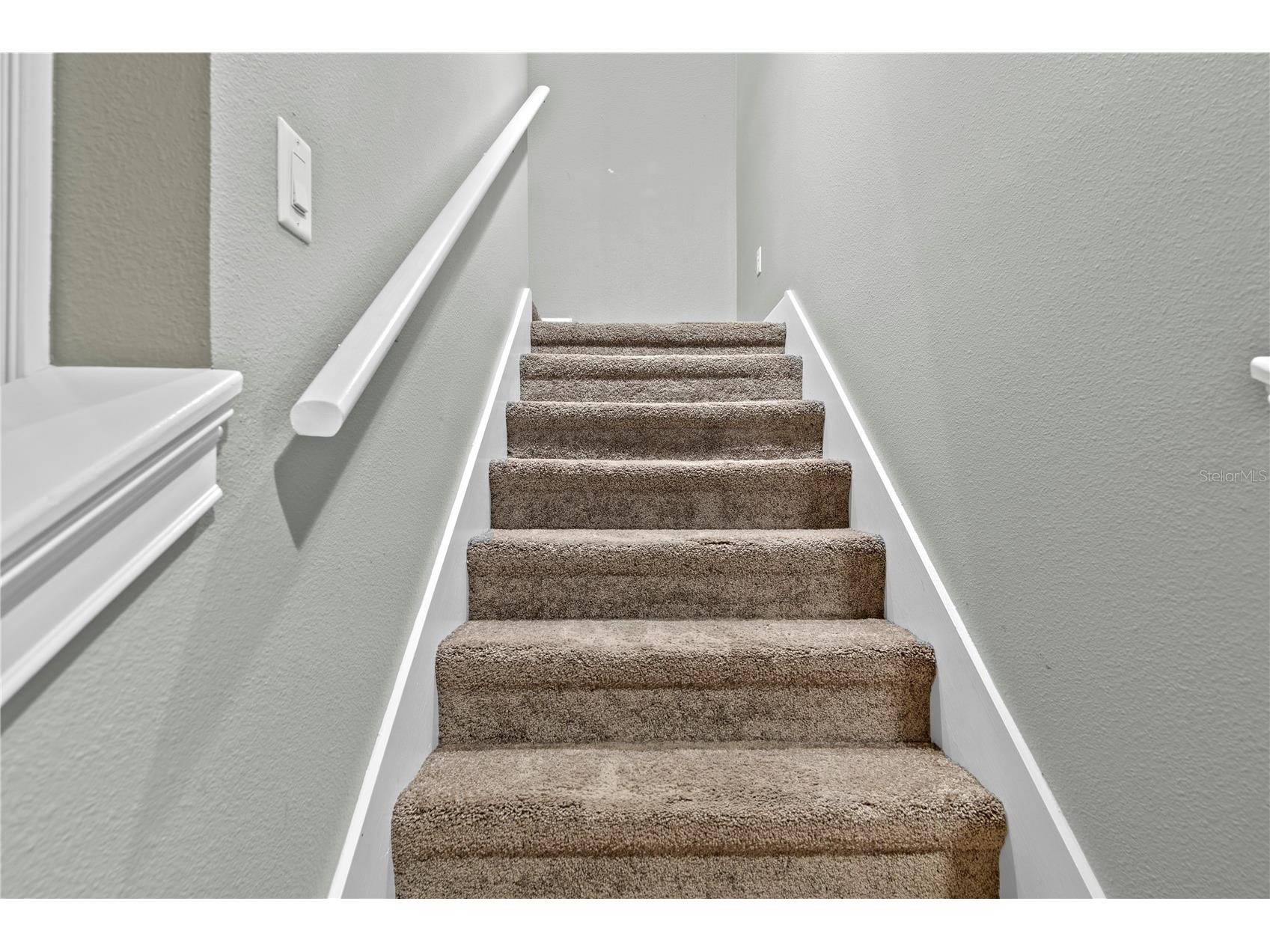 11504 Bellamar Street Tampa FL 33637 TB8522865 image19