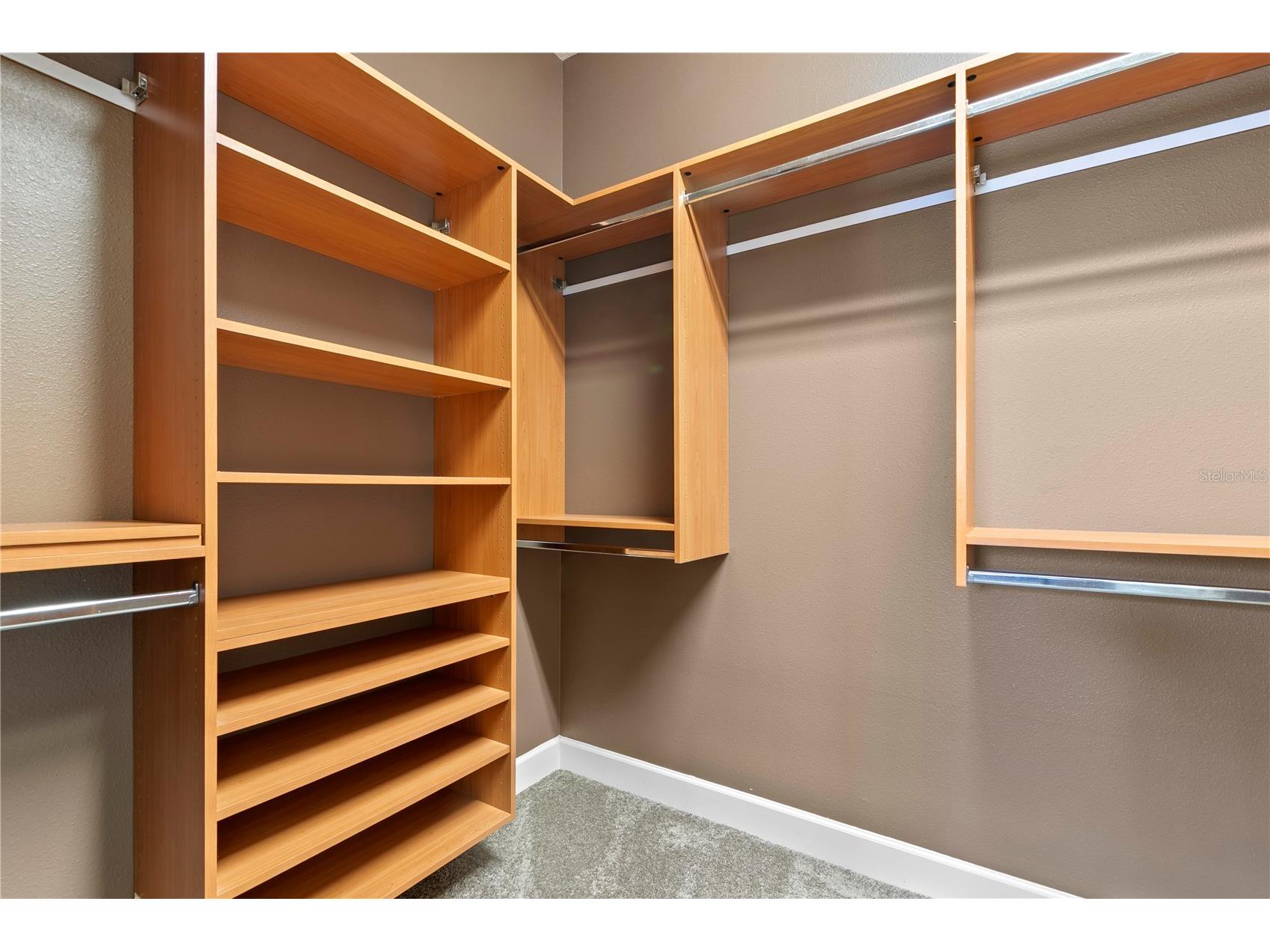 11504 Bellamar Street Tampa FL 33637 TB8522865 image25