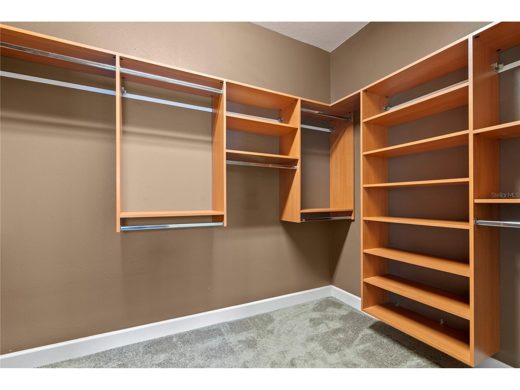 11504 Bellamar Street Tampa FL 33637 TB8522865 image26