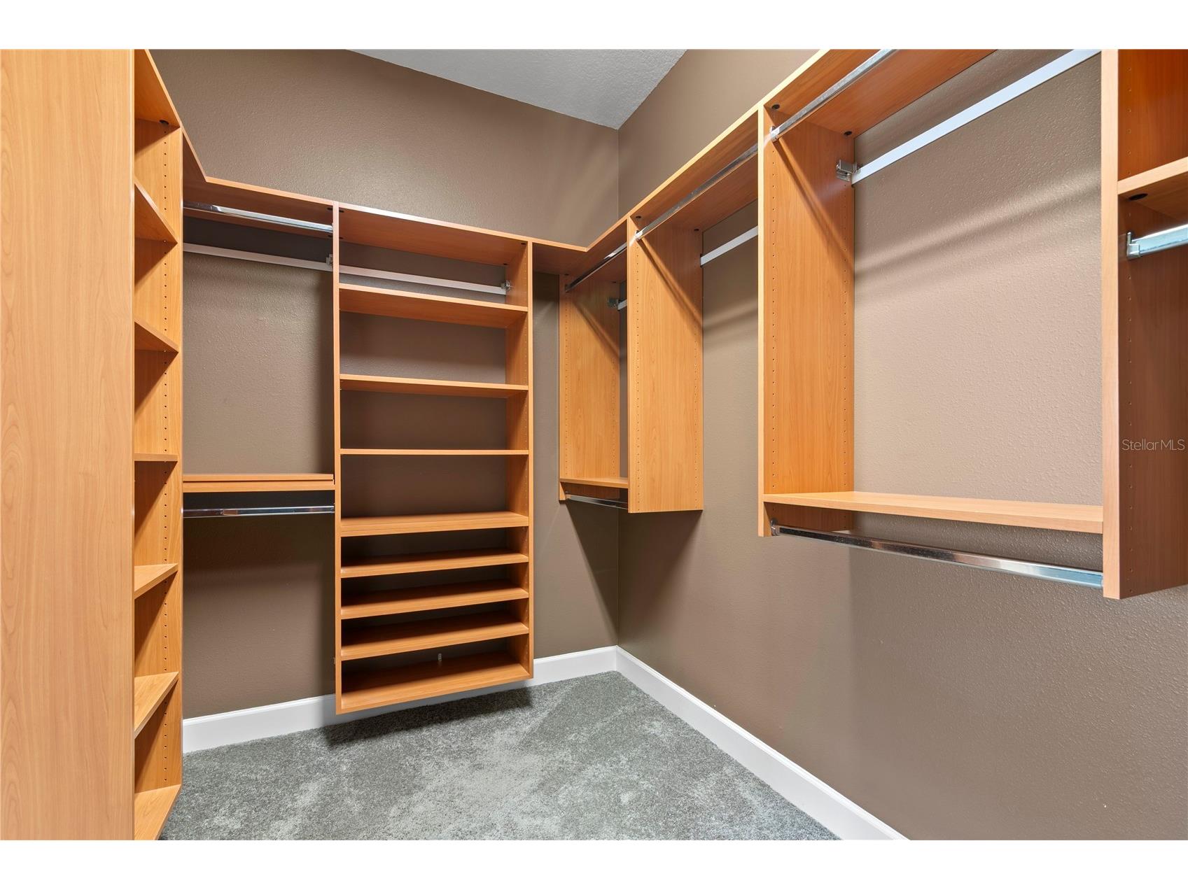 11504 Bellamar Street Tampa FL 33637 TB8522865 image27