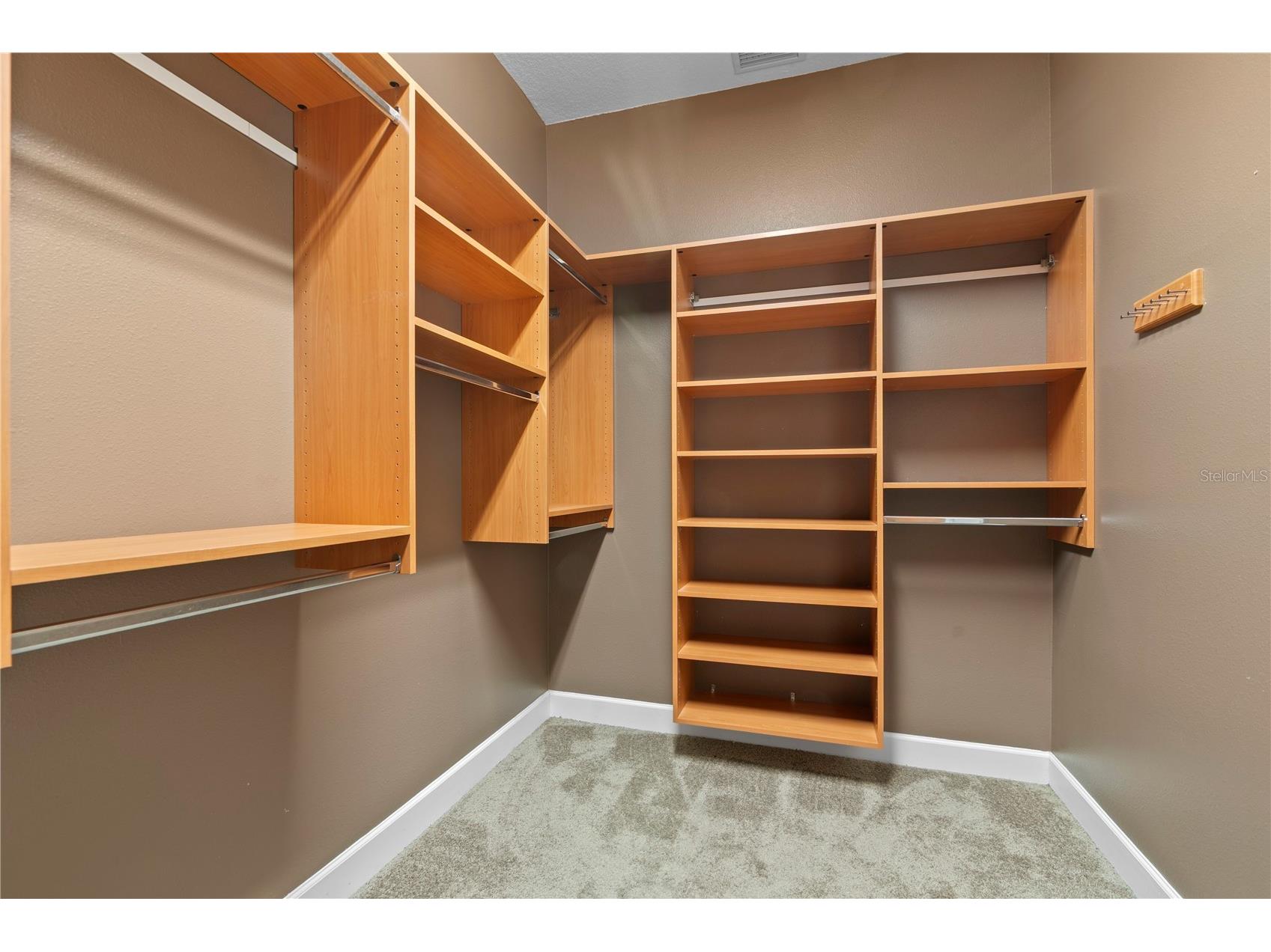 11504 Bellamar Street Tampa FL 33637 TB8522865 image28