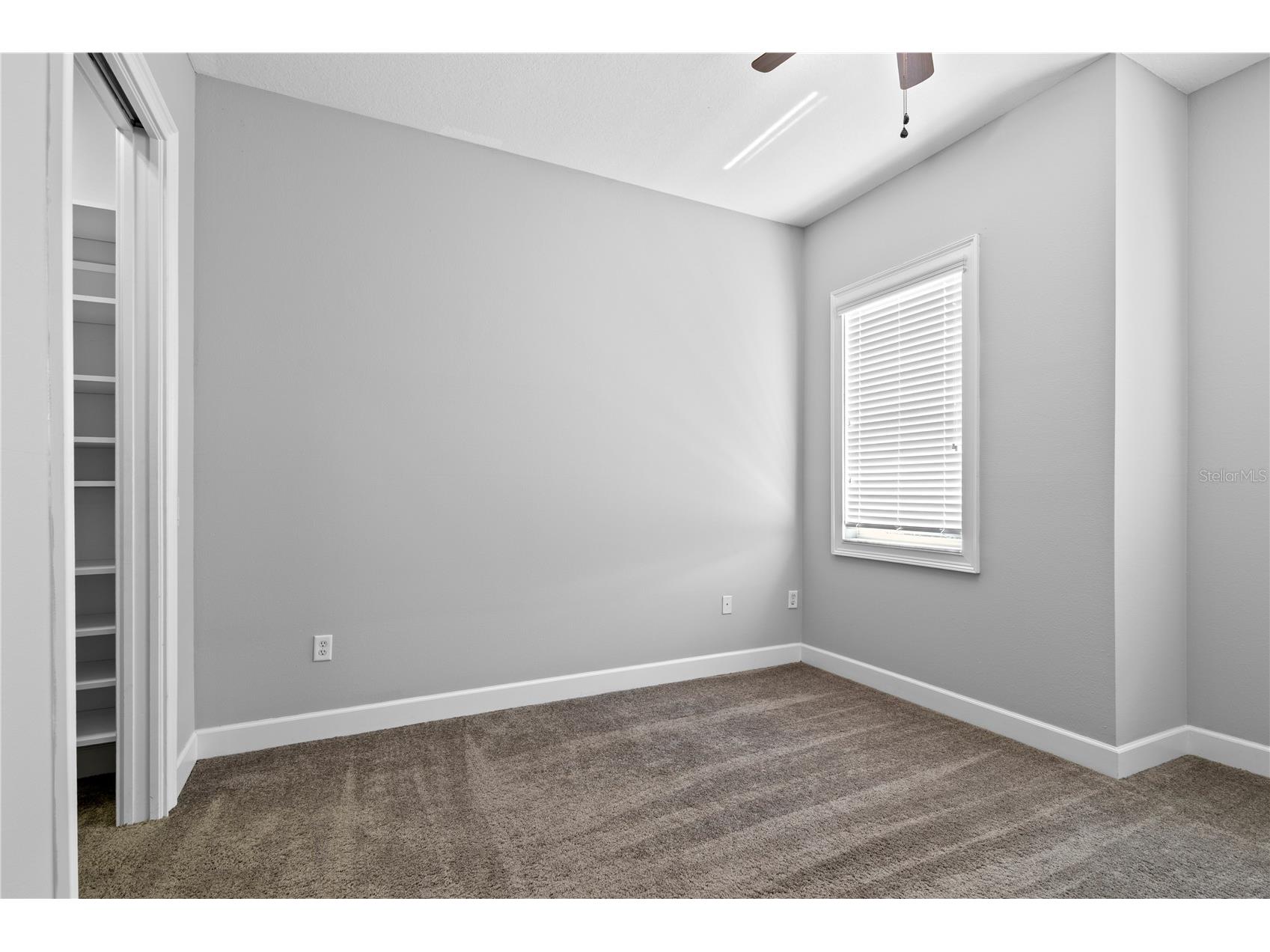 11504 Bellamar Street Tampa FL 33637 TB8522865 image37