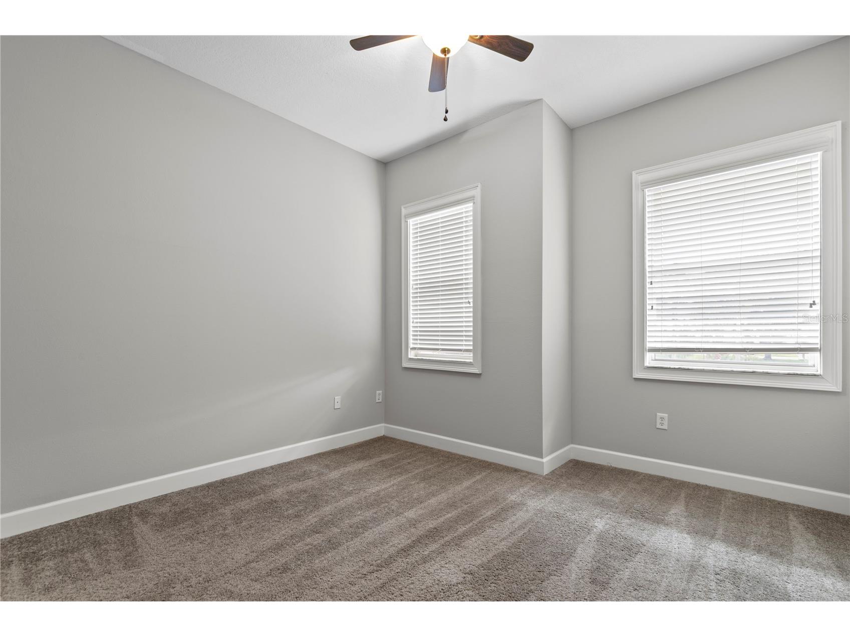 11504 Bellamar Street Tampa FL 33637 TB8522865 image39