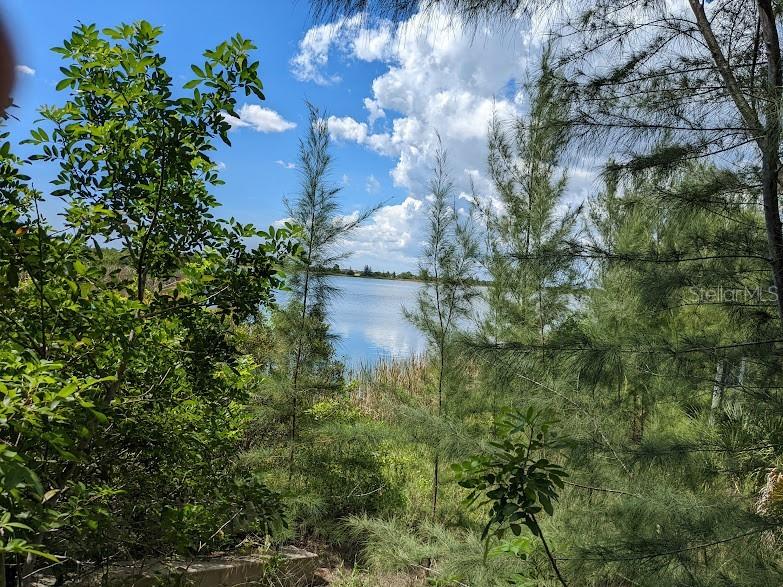 11504 Chimera Place Placida FL 33946 D6138846 image5