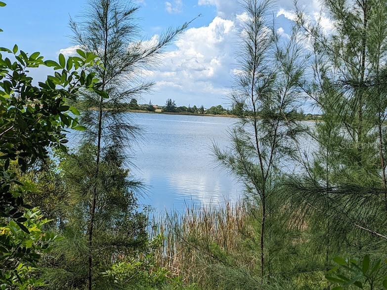 11504 Chimera Place Placida FL 33946 D6138846 image6