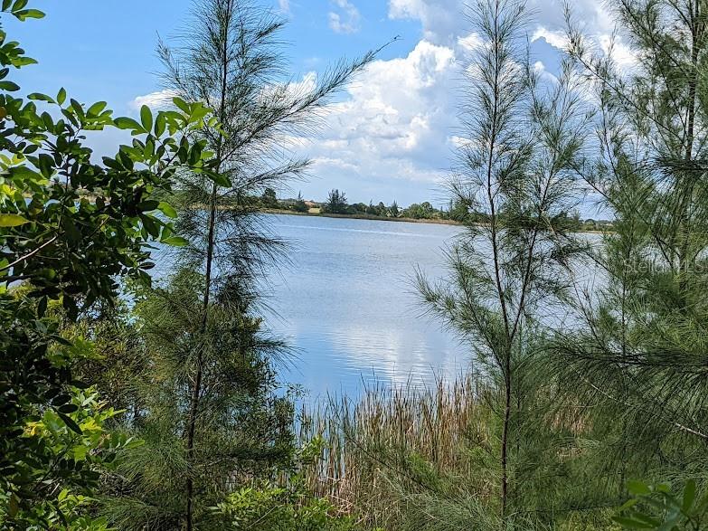 11504 Chimera Place Placida FL 33946 D6138846 image7