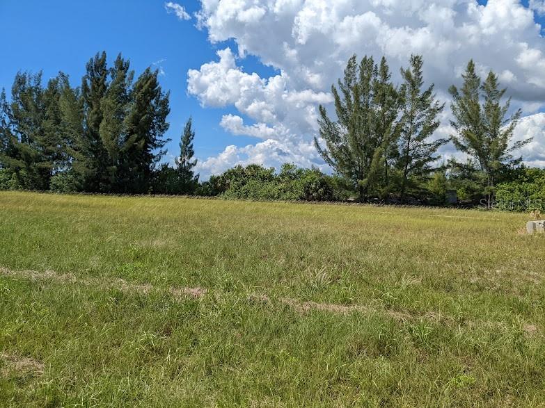 11504 Chimera Place Placida FL 33946 D6138846 image8