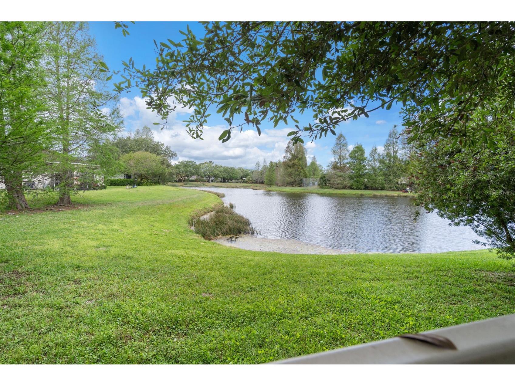 11504 Crowned Sparrow Lane Tampa FL 33626 TB8494242 image42