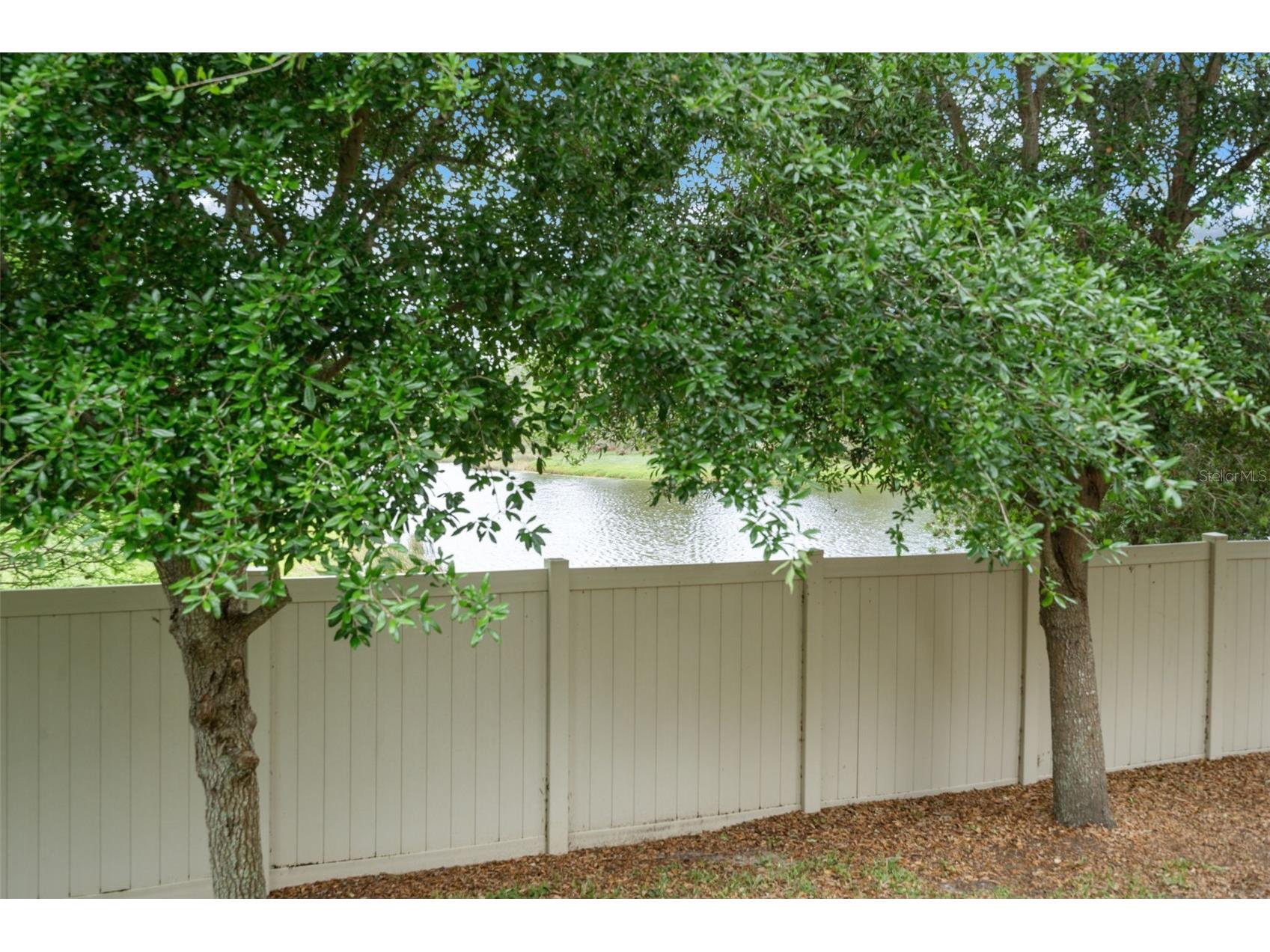 11504 Crowned Sparrow Lane Tampa FL 33626 TB8494242 image44