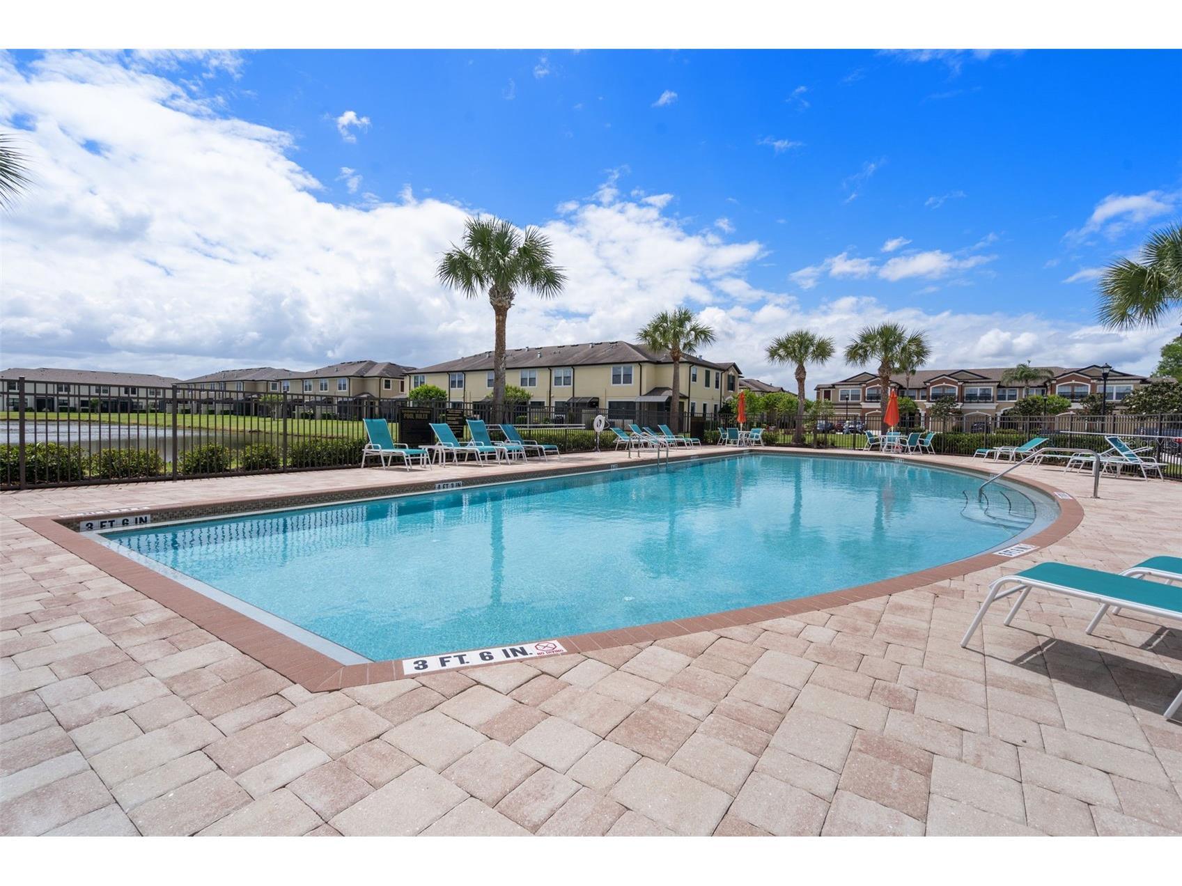 11504 Crowned Sparrow Lane Tampa FL 33626 TB8494242 image48