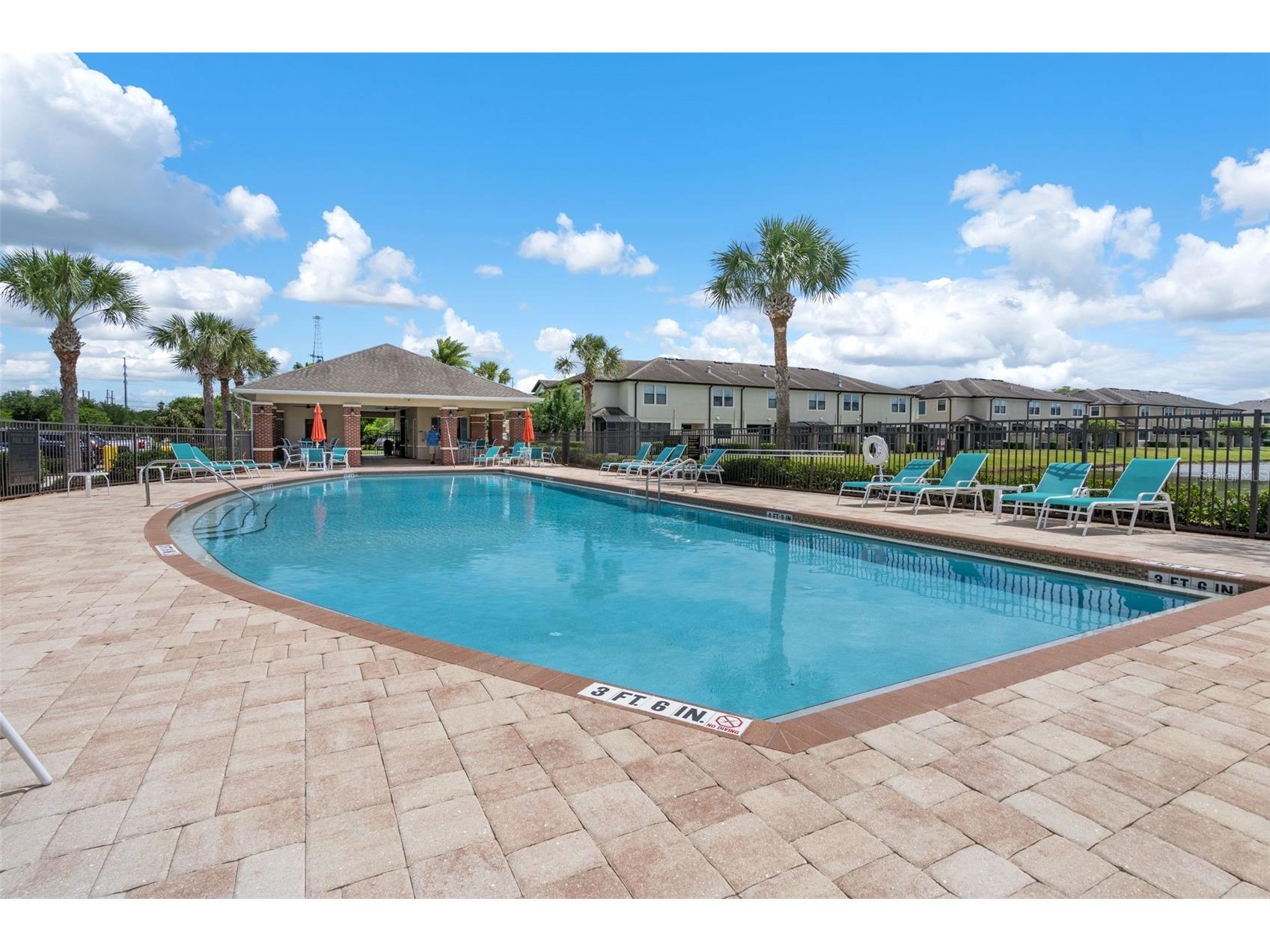 11504 Crowned Sparrow Lane Tampa FL 33626 TB8494242 image49