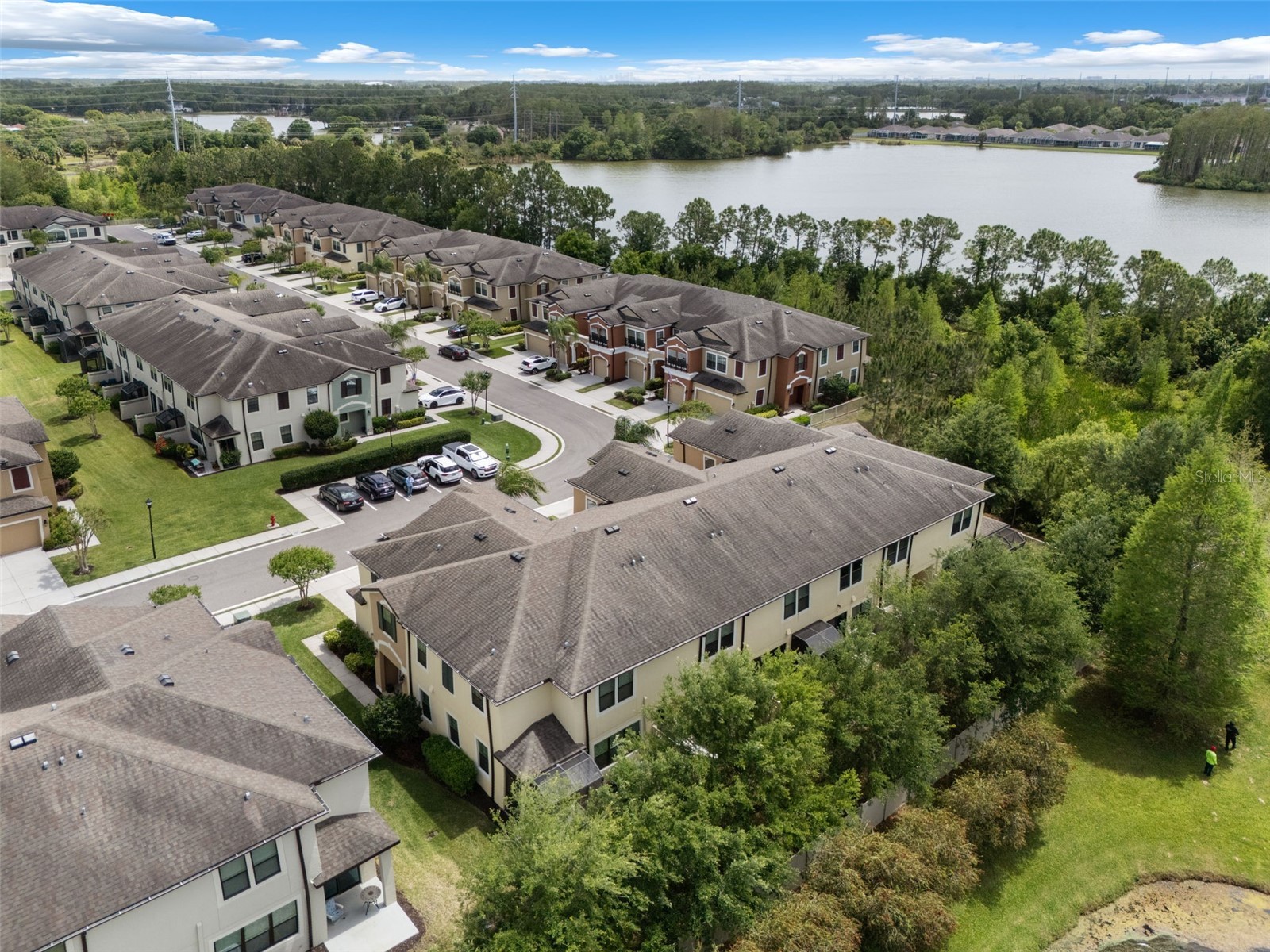 11504 Crowned Sparrow Lane Tampa FL 33626 TB8494242 image56
